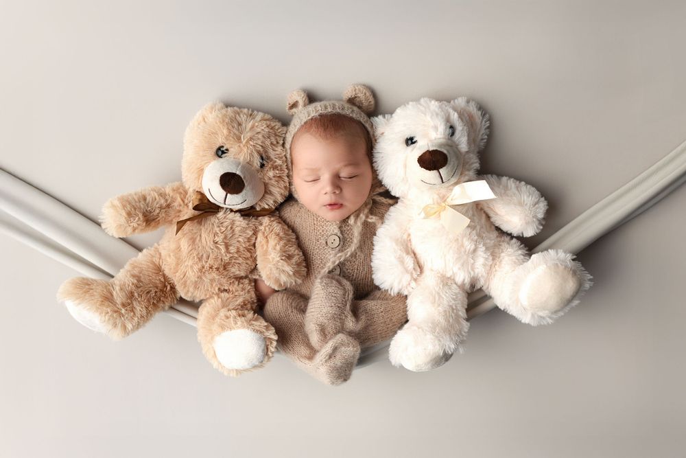 A collection of soft plush teddy bears arranged in a minimalist style against a neutral gray background.
