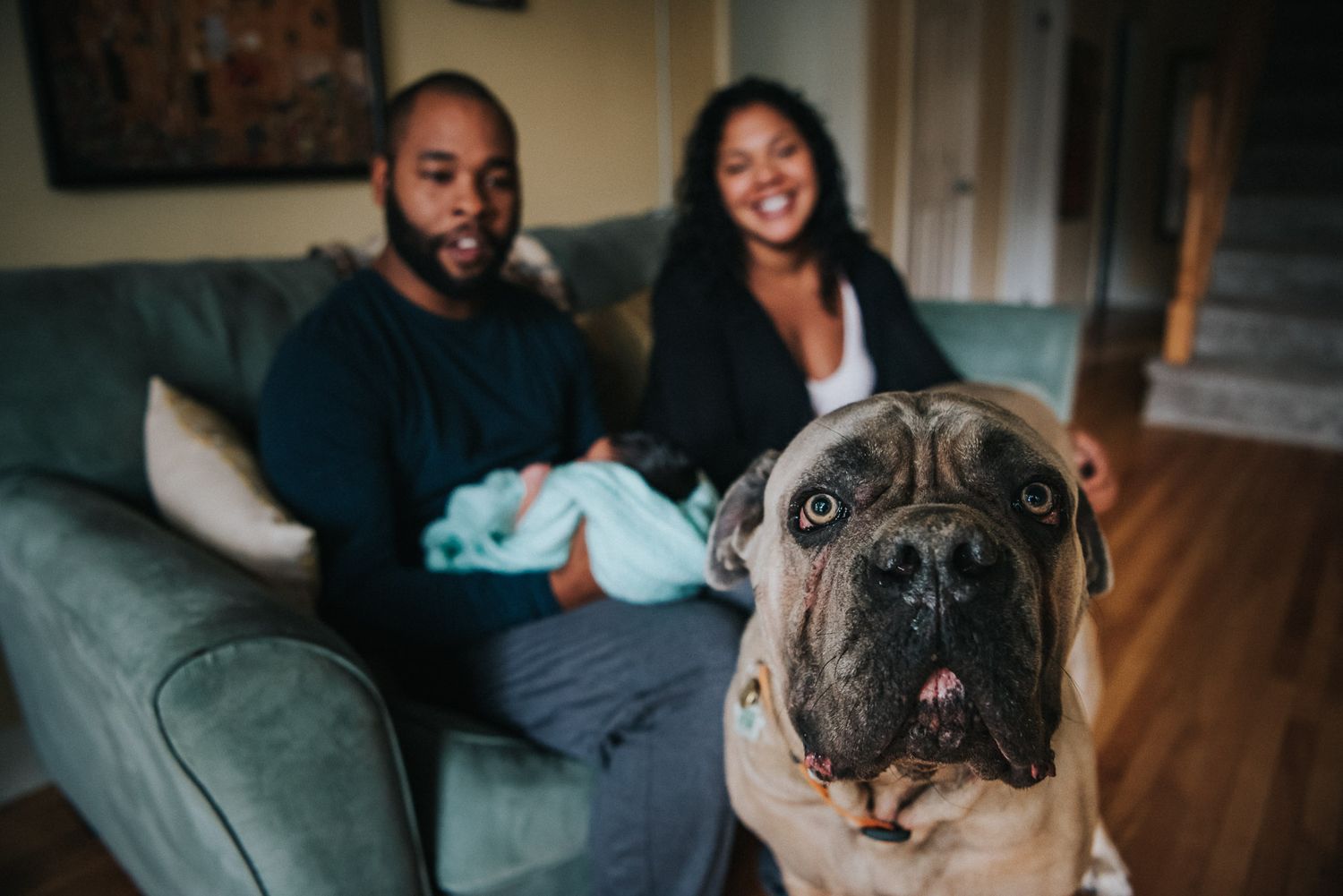 Family portrait with newborn baby and parents in background and their giant beautiful dog front and centre.
