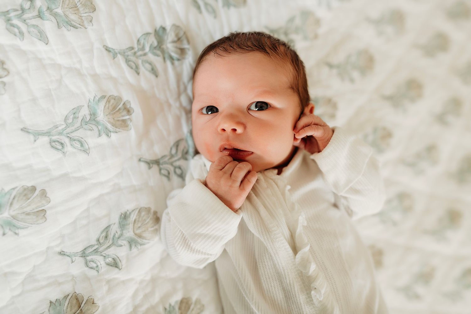 Ann Arbor Newborn Photographer