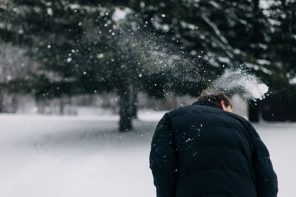 Snow falls around a person in black clothing against a winter forest backdrop.