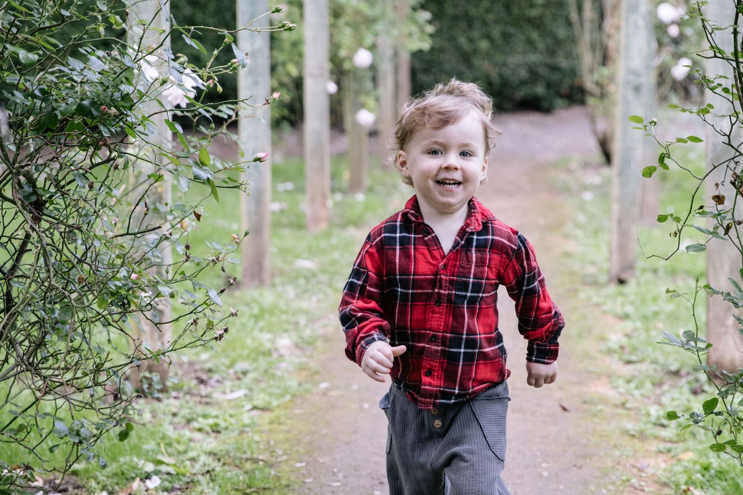 Child in red plaid shirt running along garden path between green foliage.