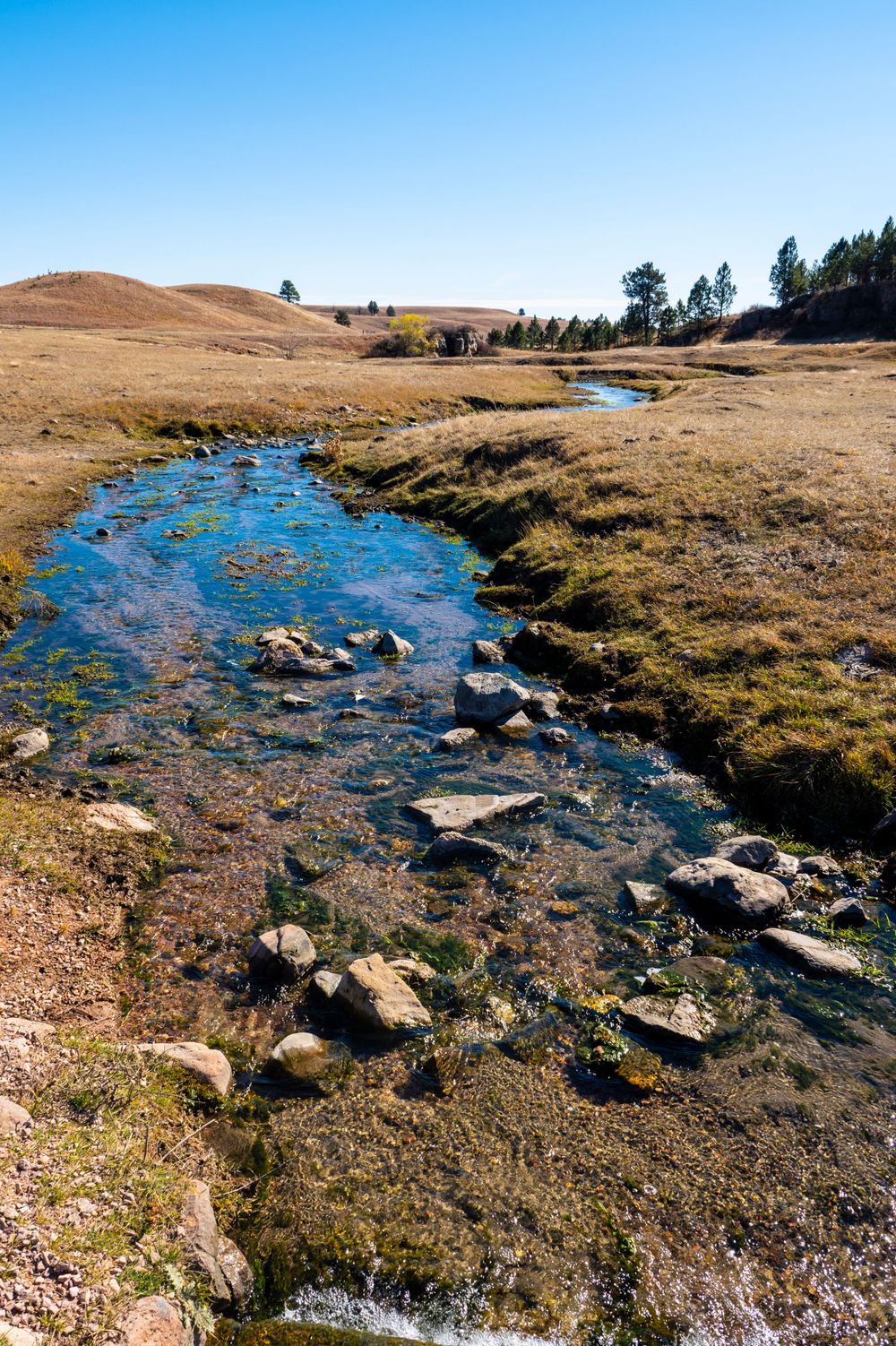 Rocky stream winding through arid grassland with hills and trees in the background.