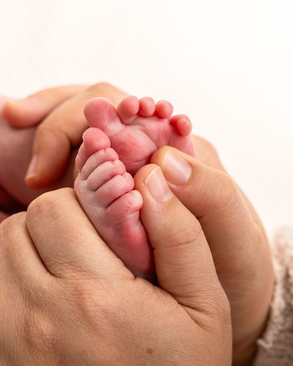 Adult hands gently holding tiny newborn baby feet showing tender parental care and bonding. Newborn Photography, Knoxville TN.