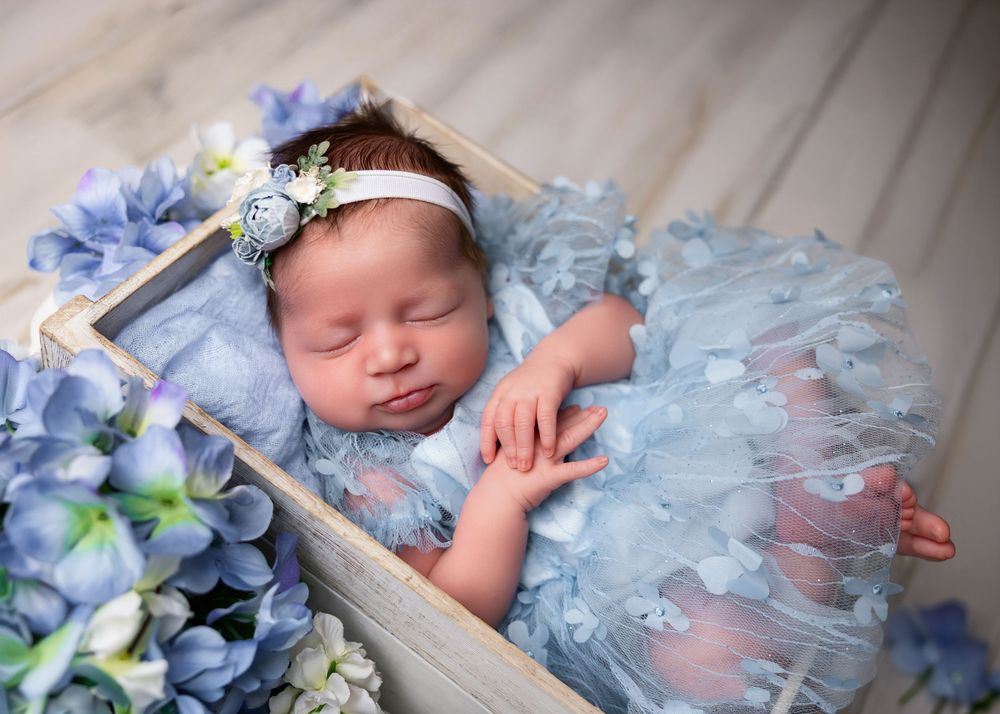 Sleeping newborn baby in blue tulle dress with floral headband resting in wooden box with blue hydrangeas.