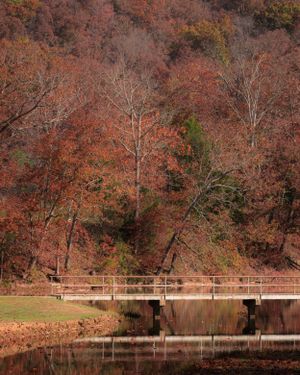 autumn scene with bridge and water