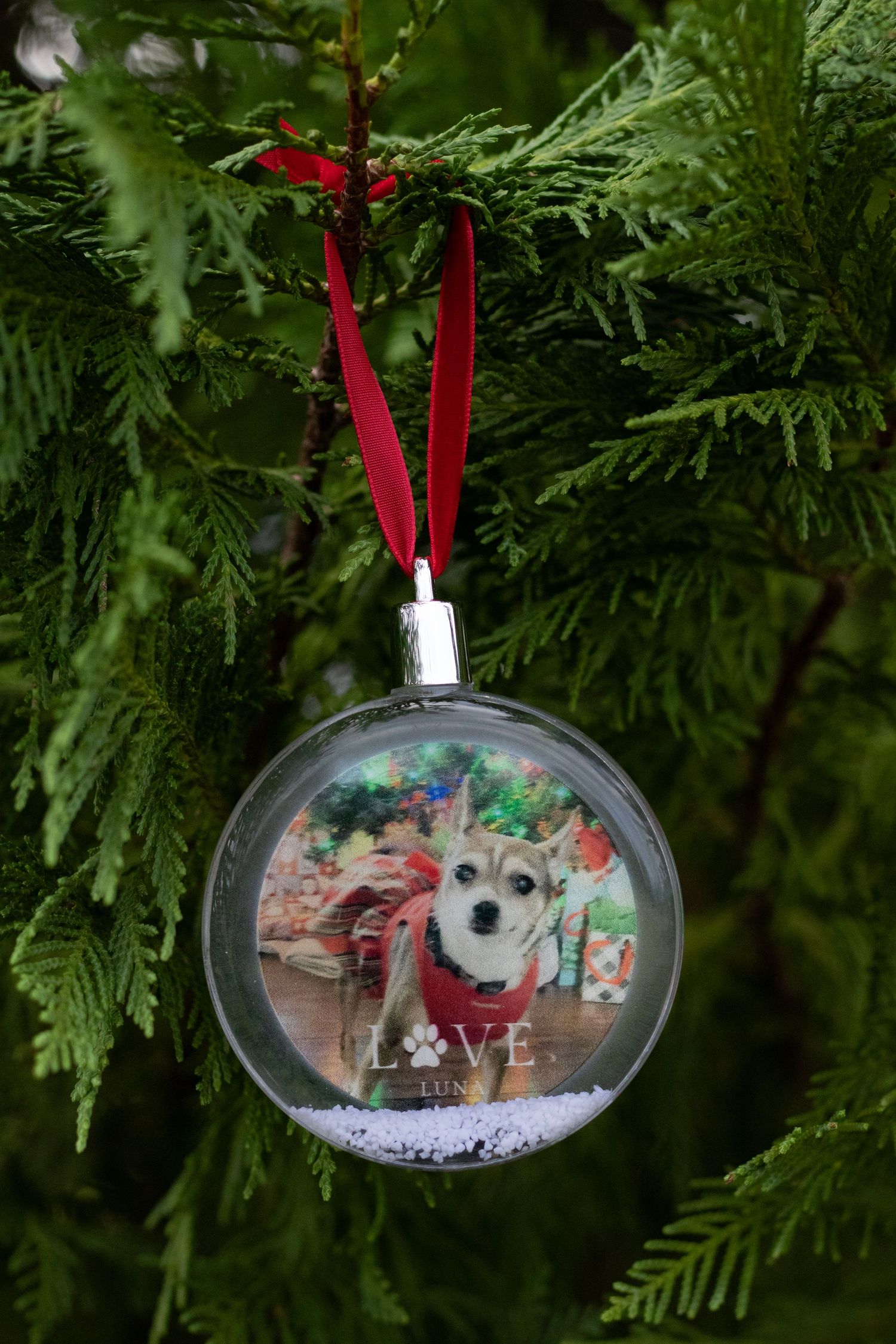 Fur baby ornament in a tree