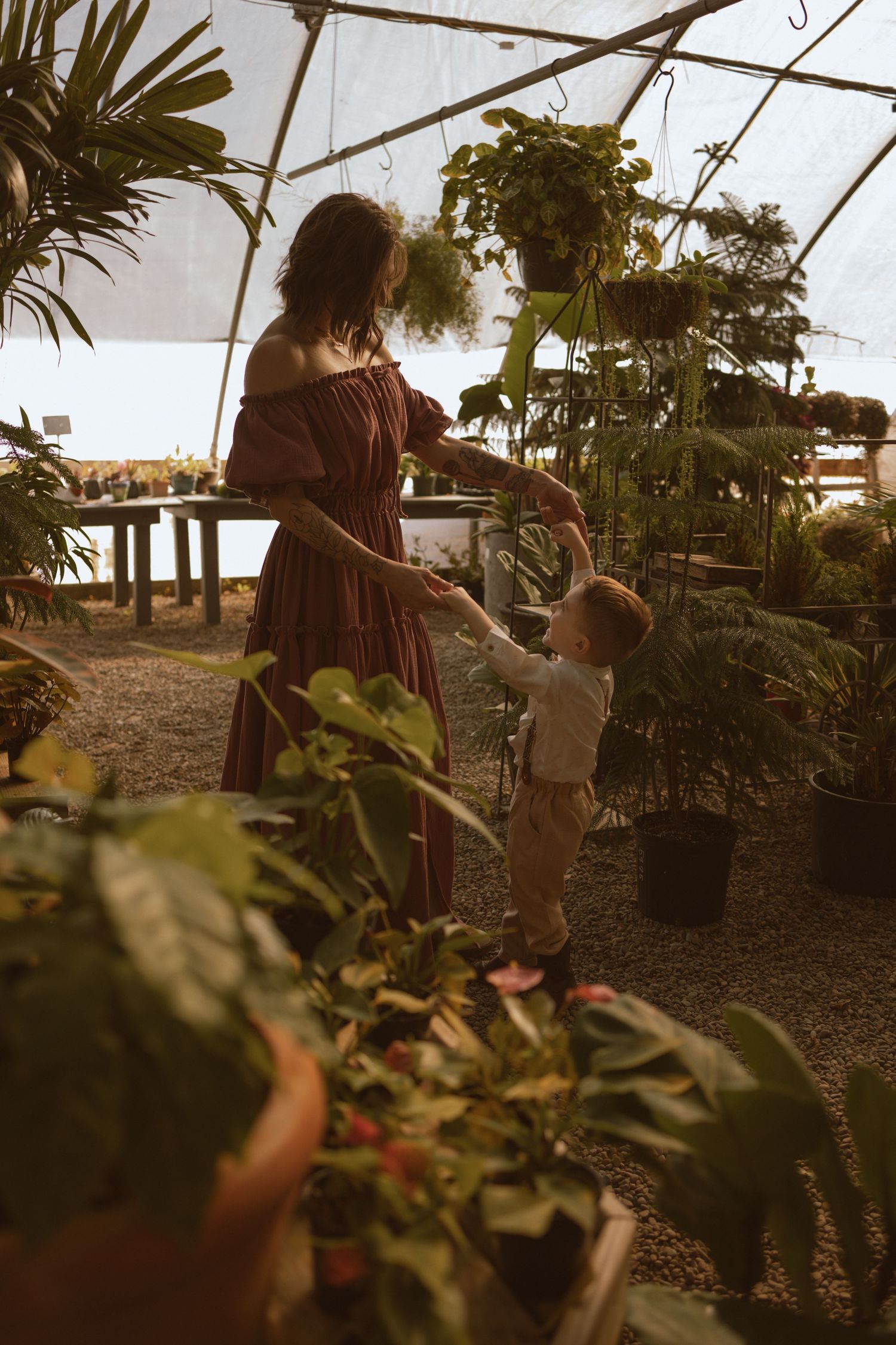 A greenhouse scene with plants and vines creating a natural canopy in golden afternoon light.