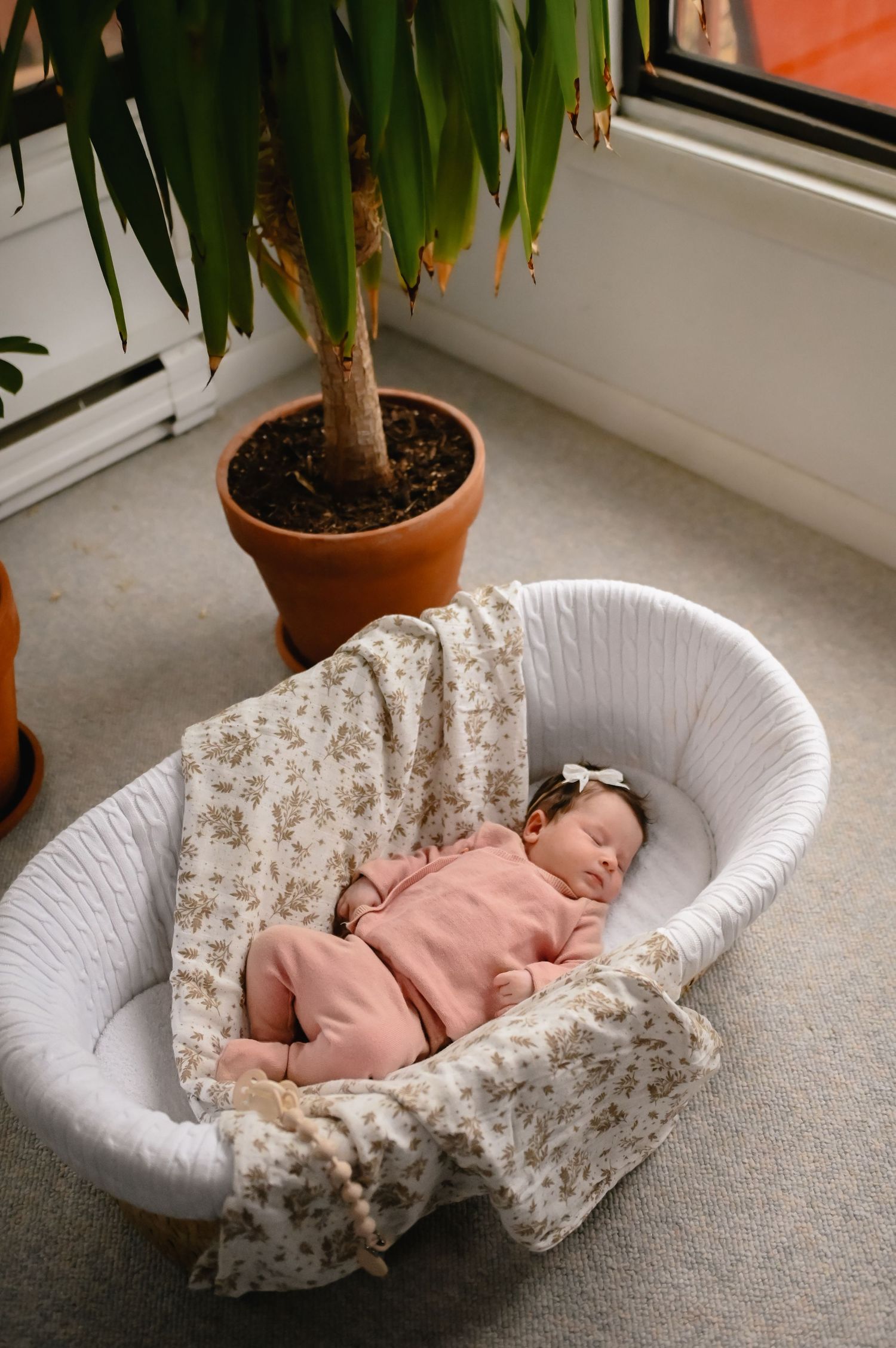 Charlton newborn photographer in home