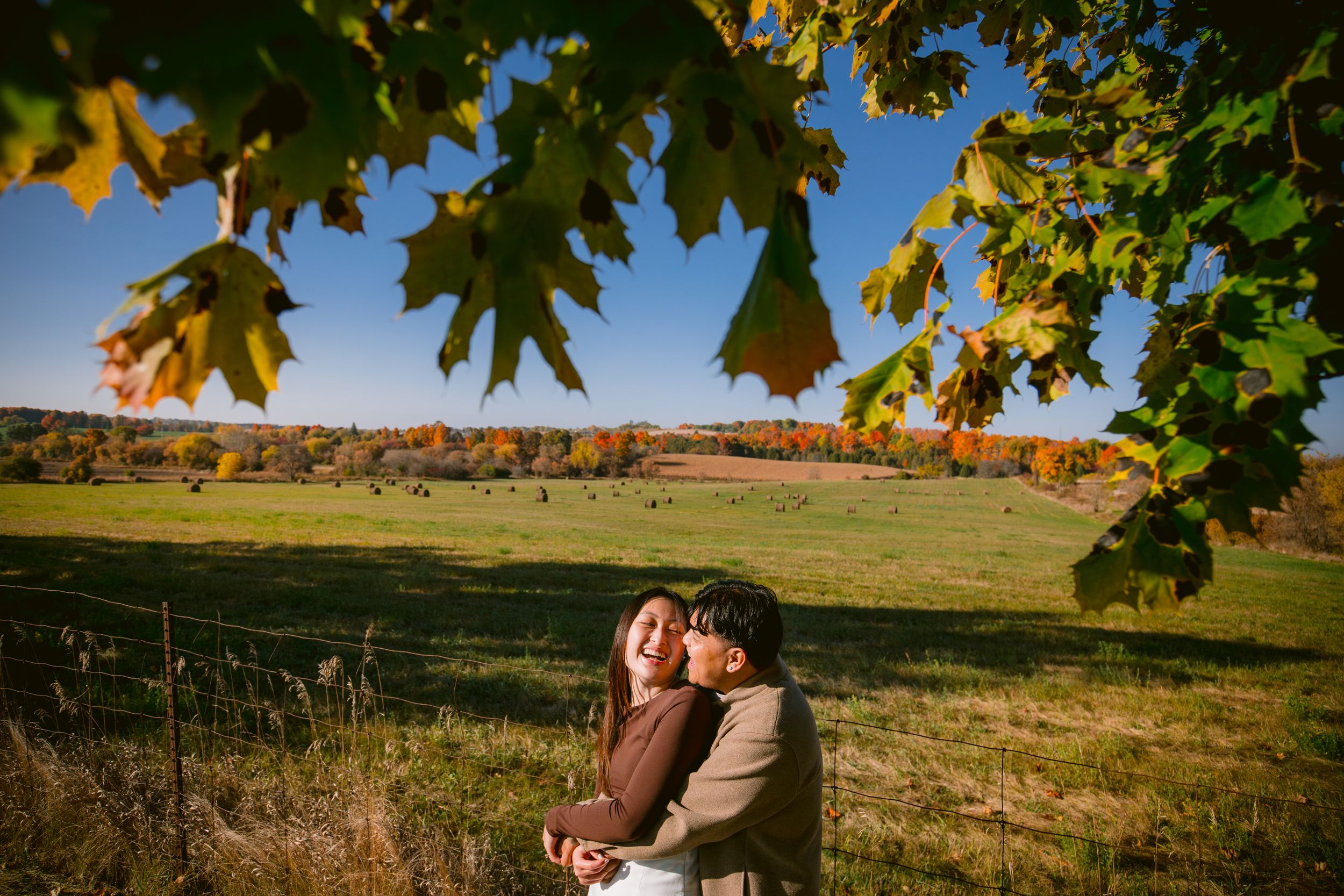 A couple embraces in a field with autumn oak trees framing the romantic scene.