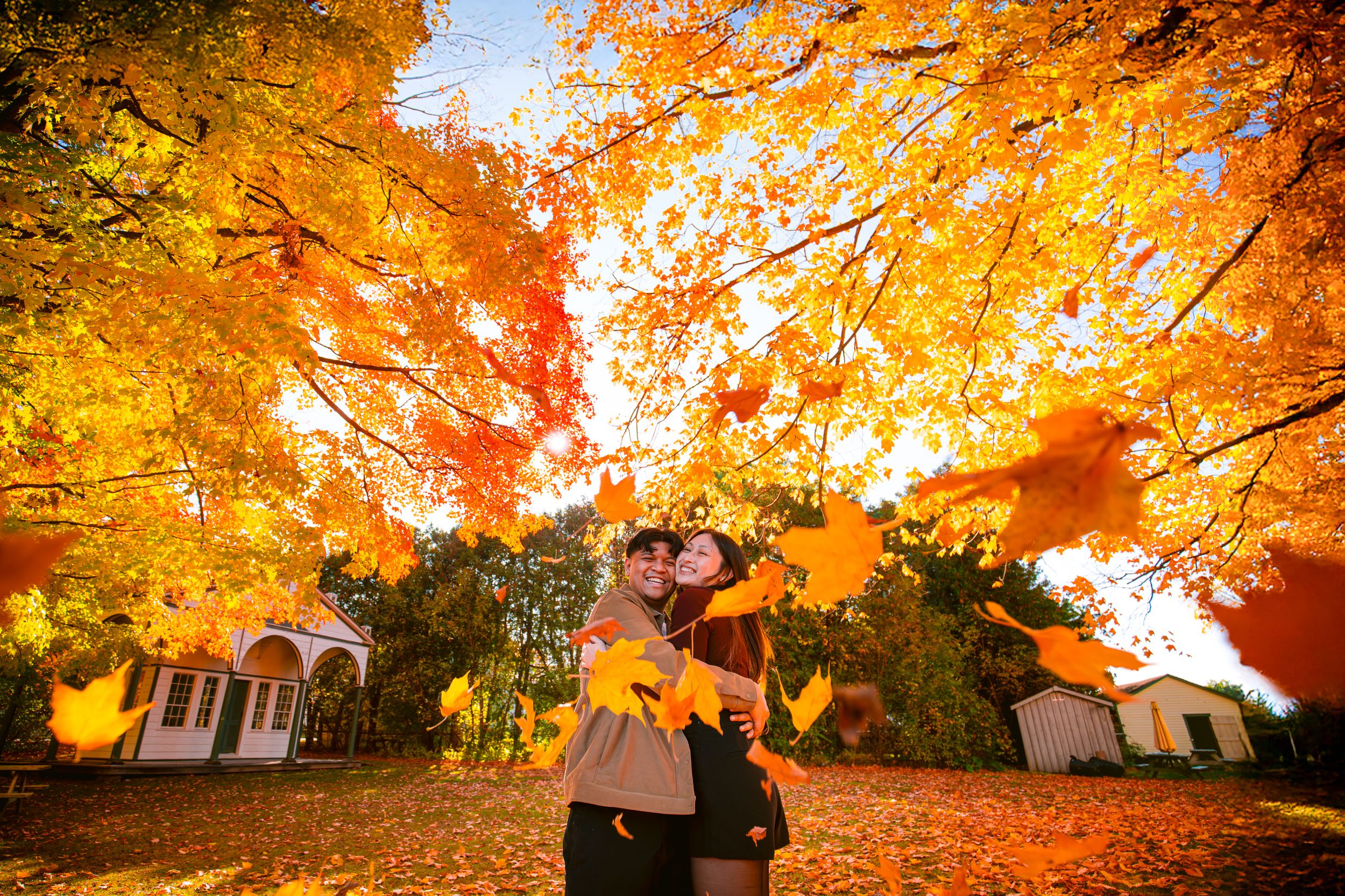 A romantic embrace under spectacular golden fall foliage with sunlight streaming through.