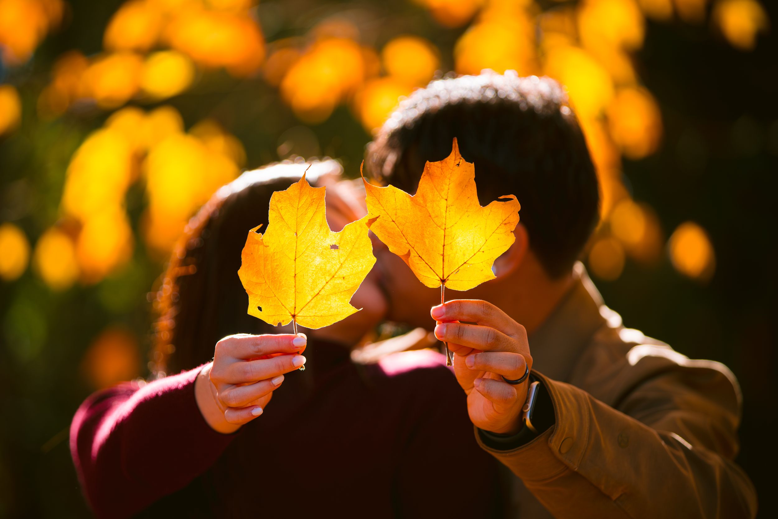 Two people holding up vibrant yellow maple leaves in the golden autumn sunlight.