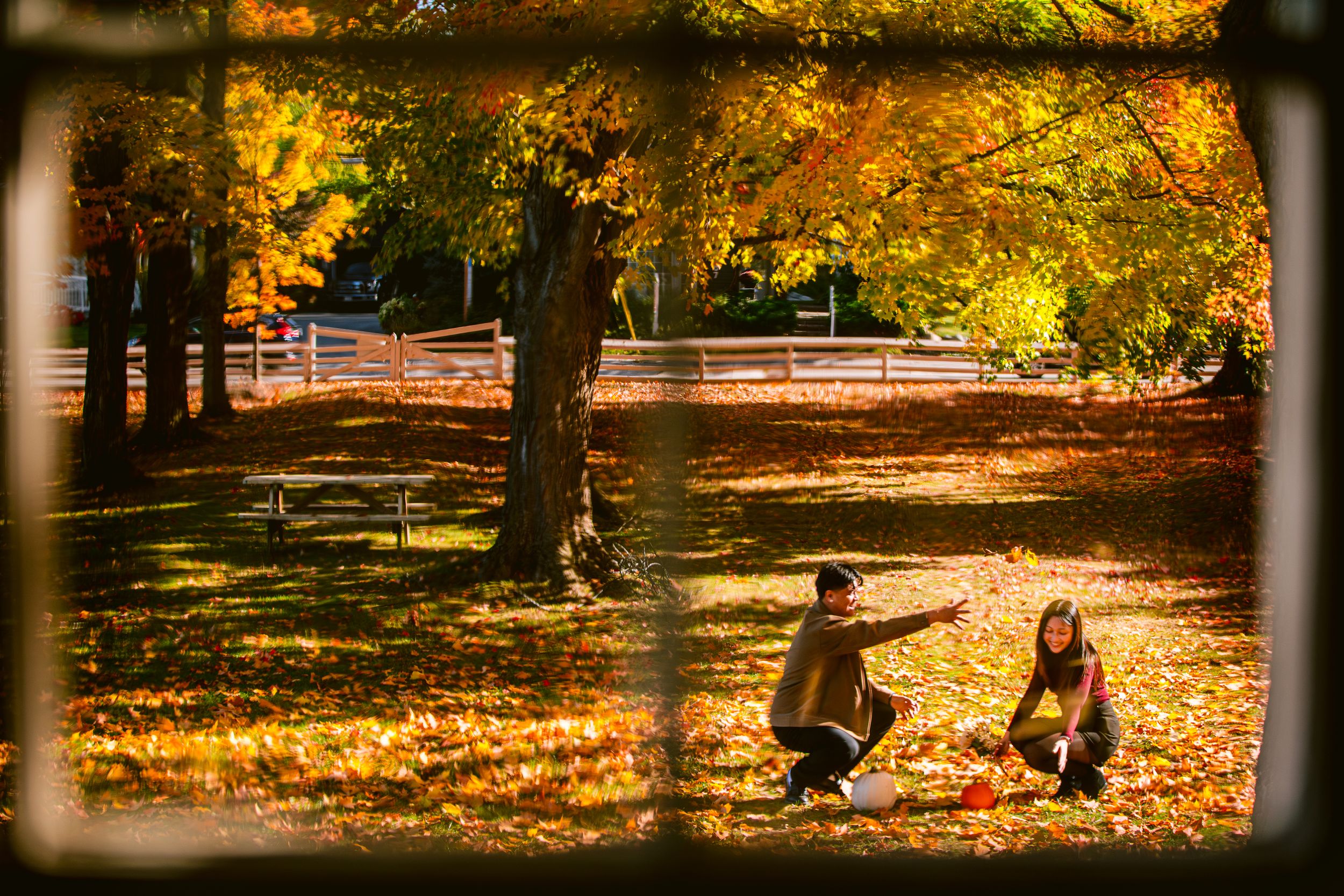 Two figures crouch in a park surrounded by vibrant fall foliage and golden autumn leaves.