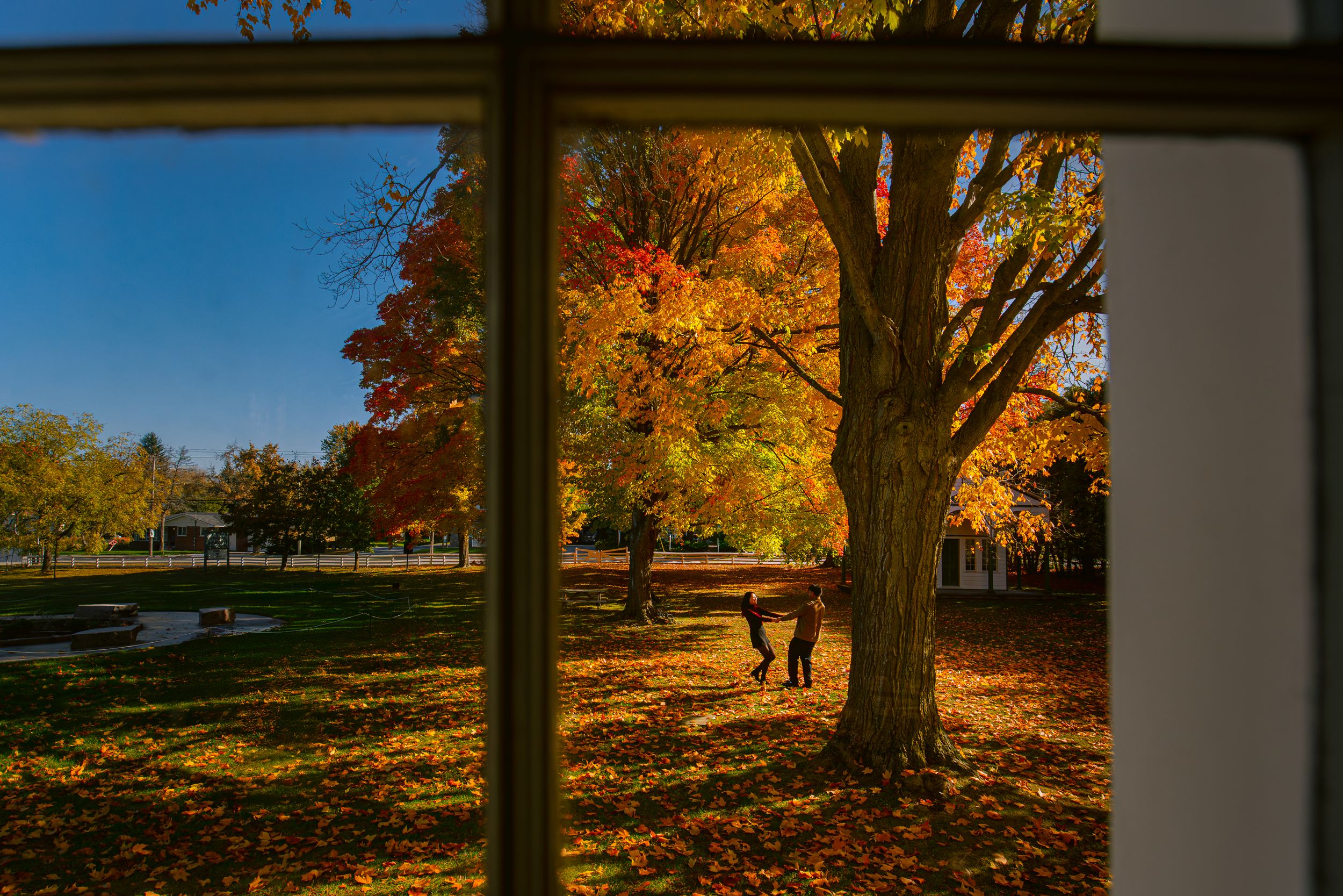 Looking through a window at people walking under vibrant fall trees on a sunny day.