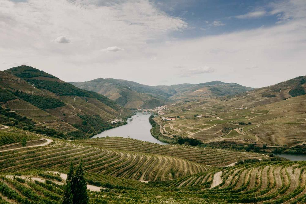 Scenic view of terraced vineyards In Quinta de Ventozelo, along the Douro River Valley in Portugal with rolling hills and blue sky.