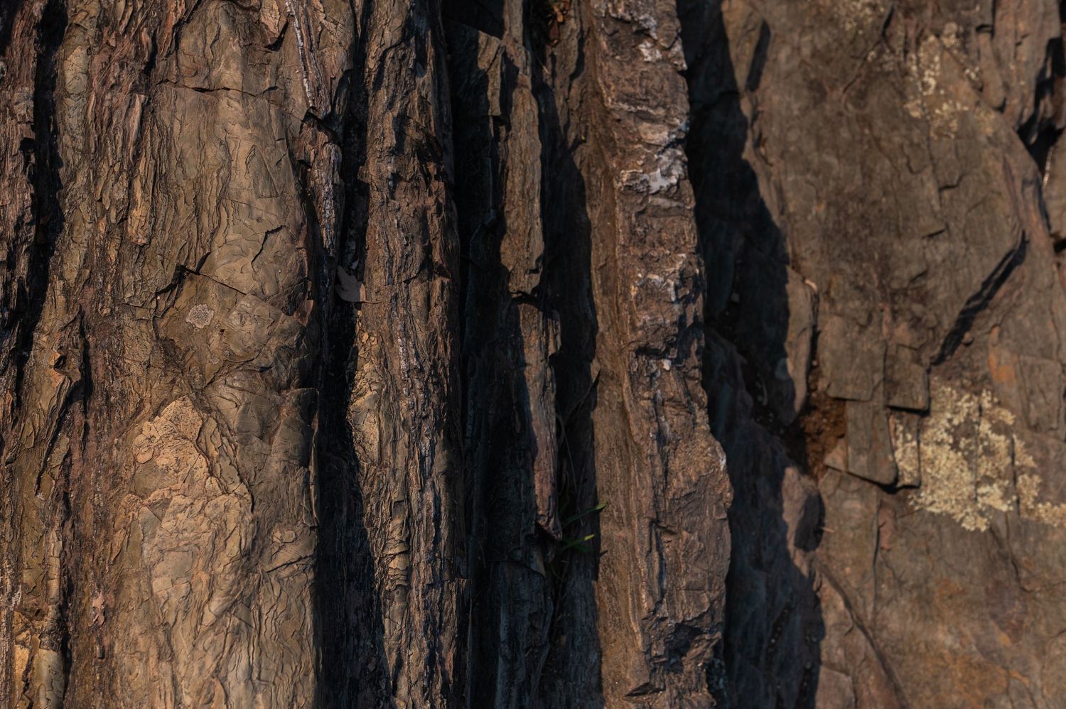 Close-up of rugged brown rock face with deep vertical cracks and shadows creating dramatic natural texture.