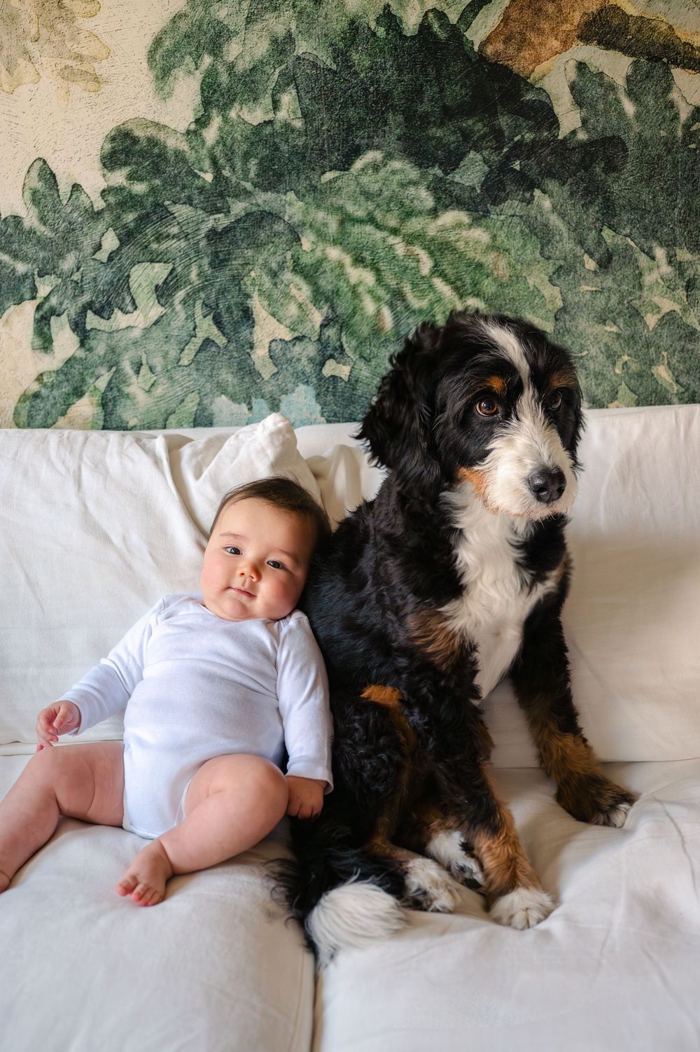 Baby in white onesie sitting on sofa beside a Bernedoodle puppy with floral wall art backdrop.