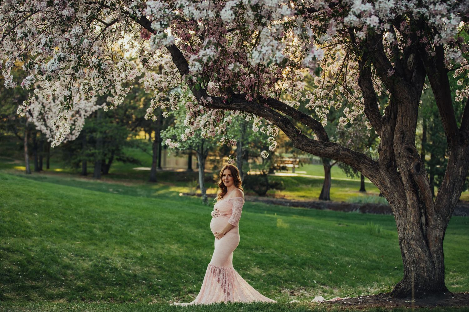 Pregnant woman in pink lace gown standing under blooming white cherry blossom tree in lush green park.