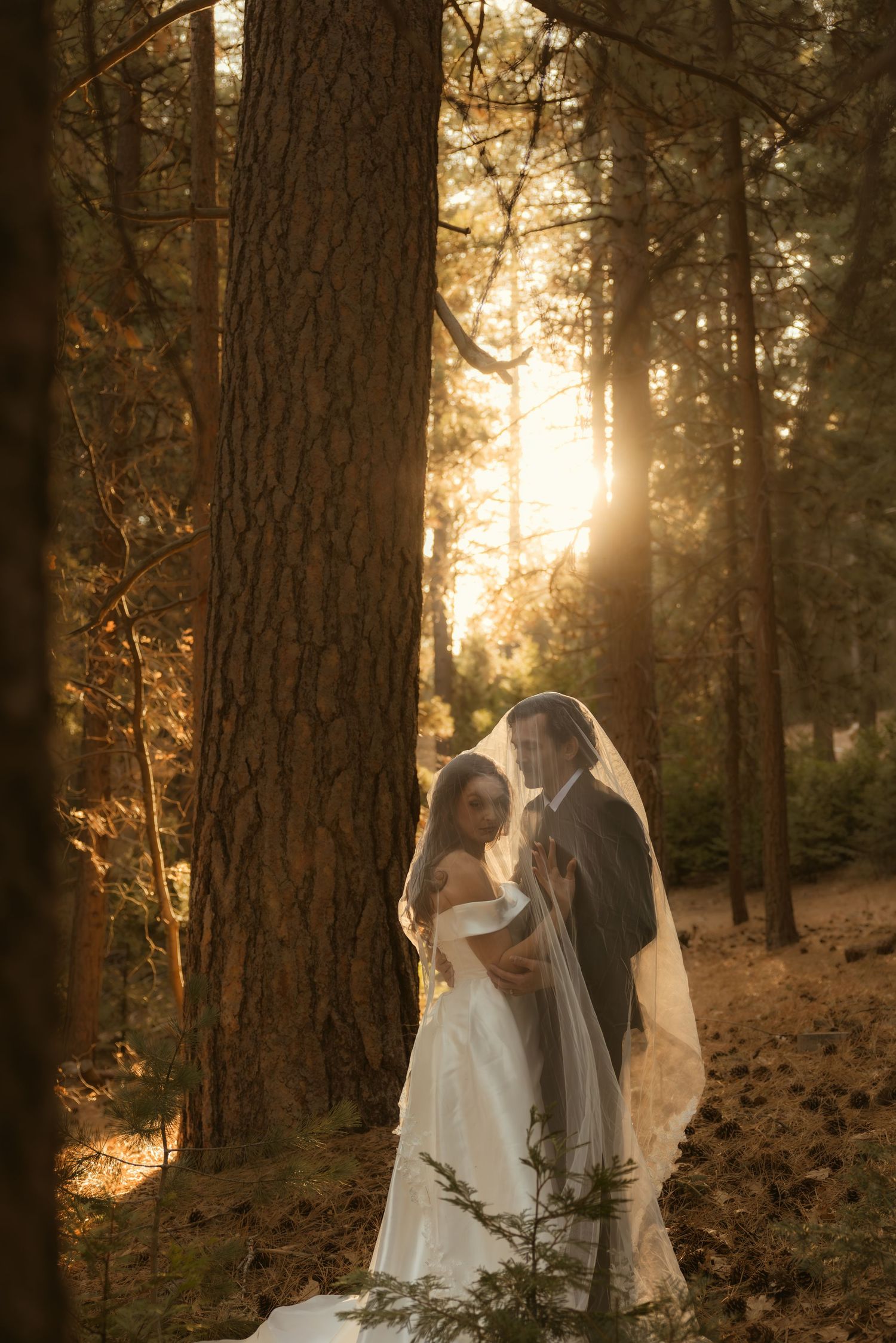 Bride and groom share romantic moment under wedding veil in sunlit forest at golden hour.
