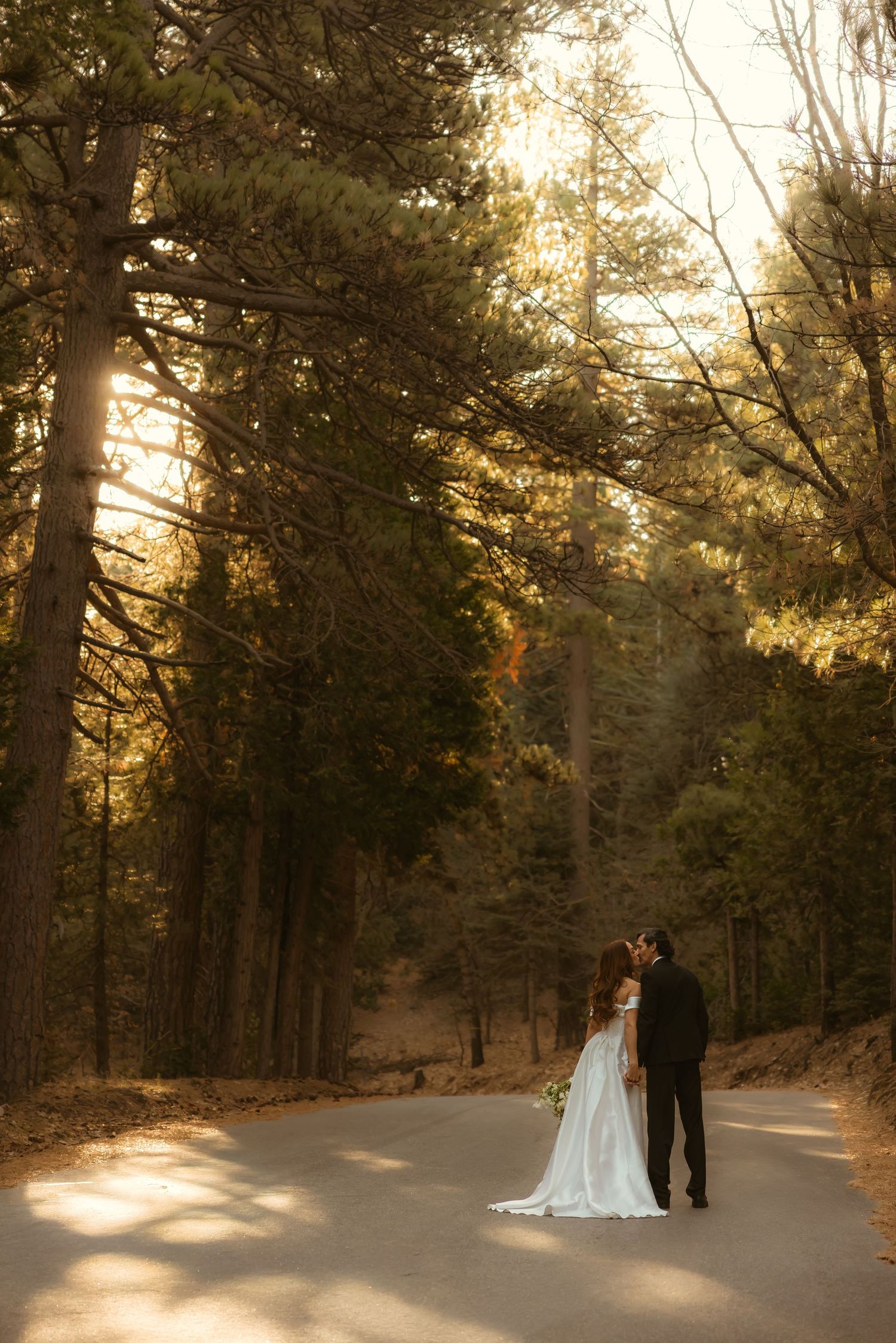 Bride and groom kissing on a sunlit forest road surrounded by tall pine trees in a romantic outdoor wedding photo.
