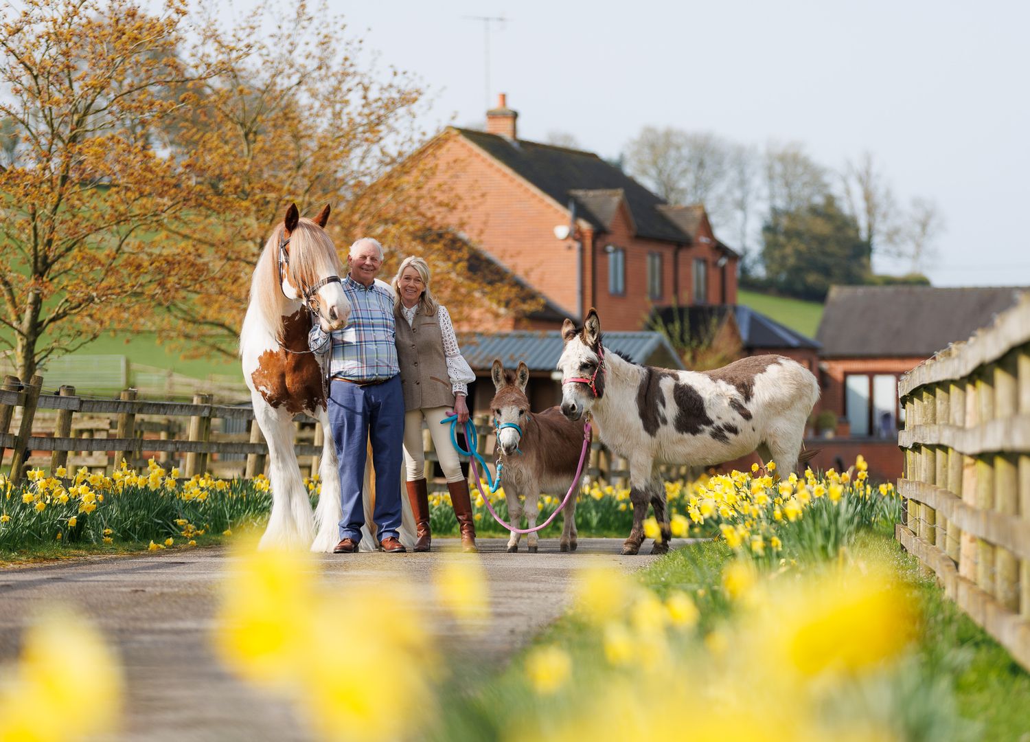 A horse and its rider enjoy an outdoor photoshoot session near rustic wooden fencing on a sunny day.