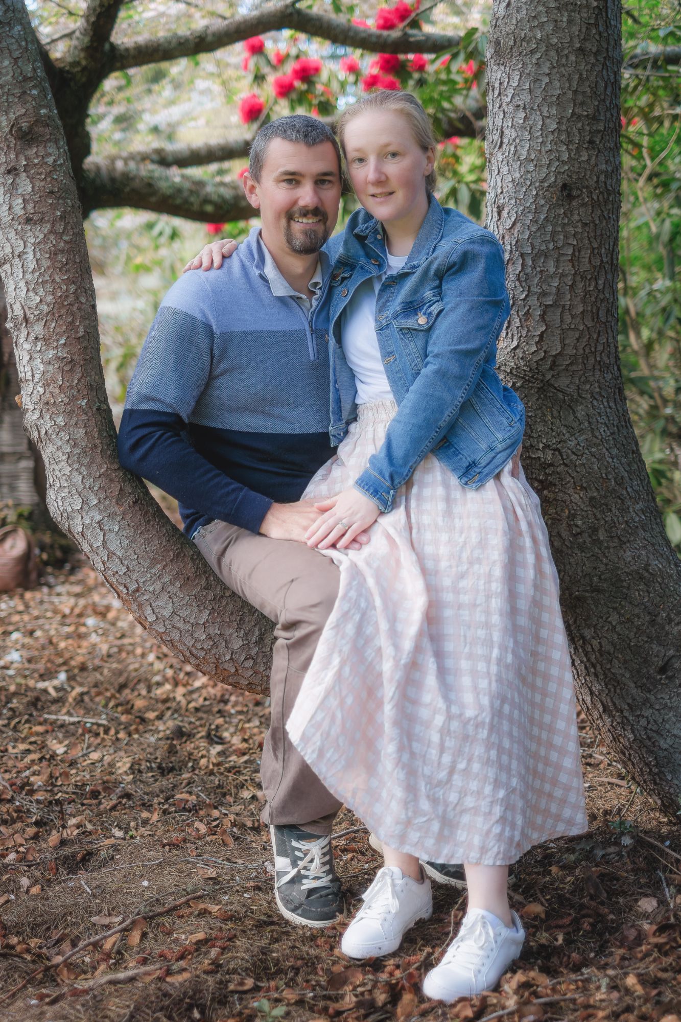 Queen Mary Hospital portrait.