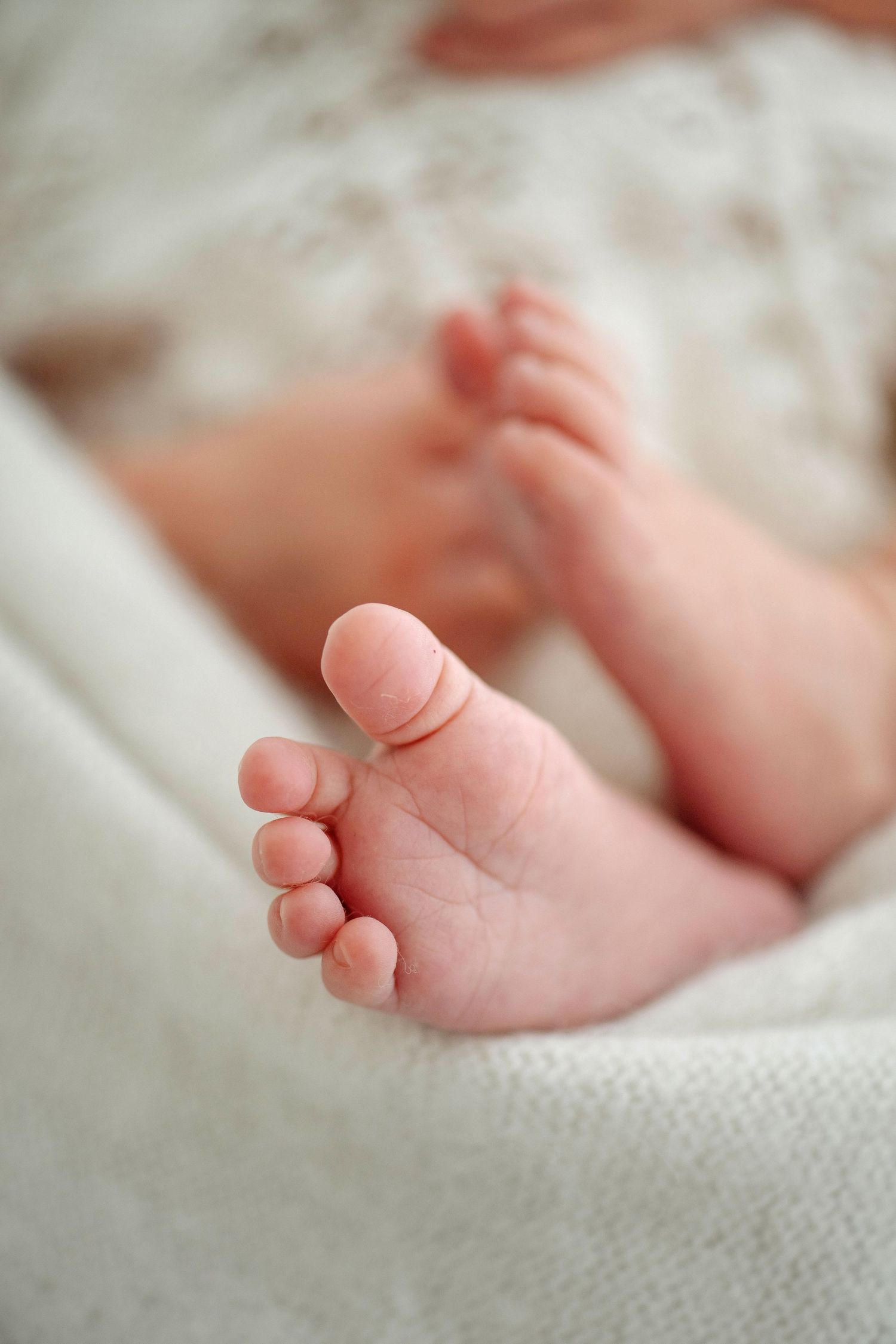 Close-up of tiny newborn baby feet resting on a soft white blanket.