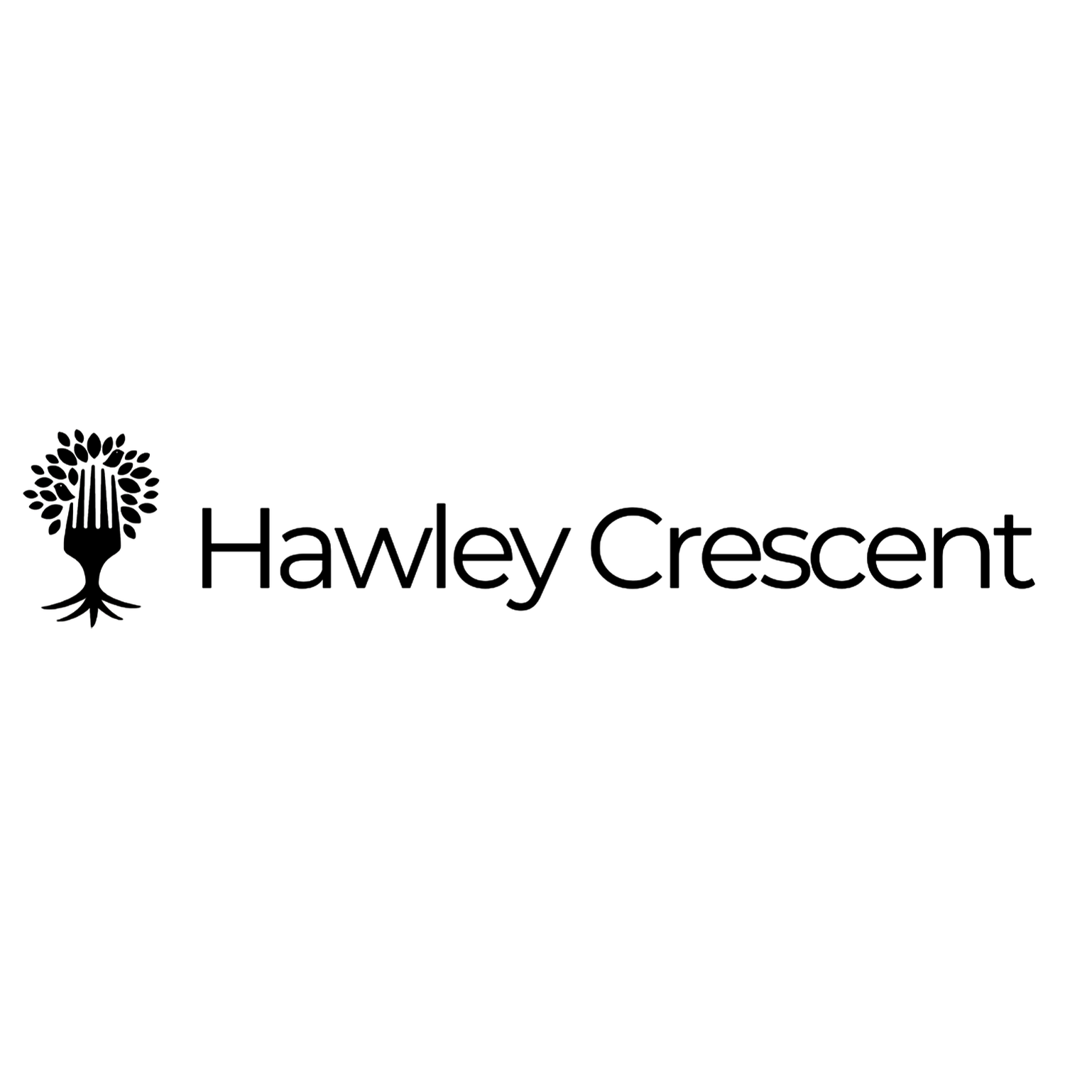 Black text reading 'Hawley Crescent' with decorative flourishes on white background.