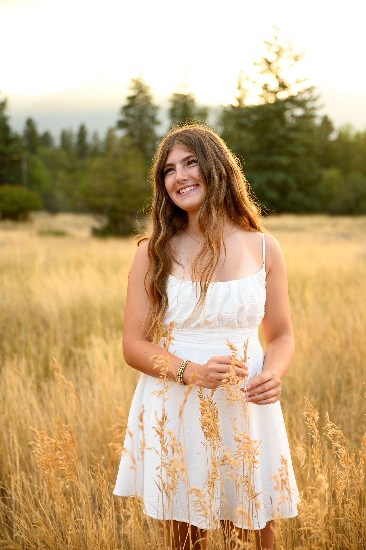 A figure stands in a golden sunlit meadow with tall grass and evergreen trees during sunset.