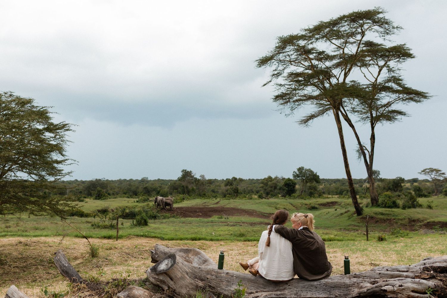 Two travelers sit on a log observing elephants in the vast African savanna landscape with acacia trees under cloudy skies.