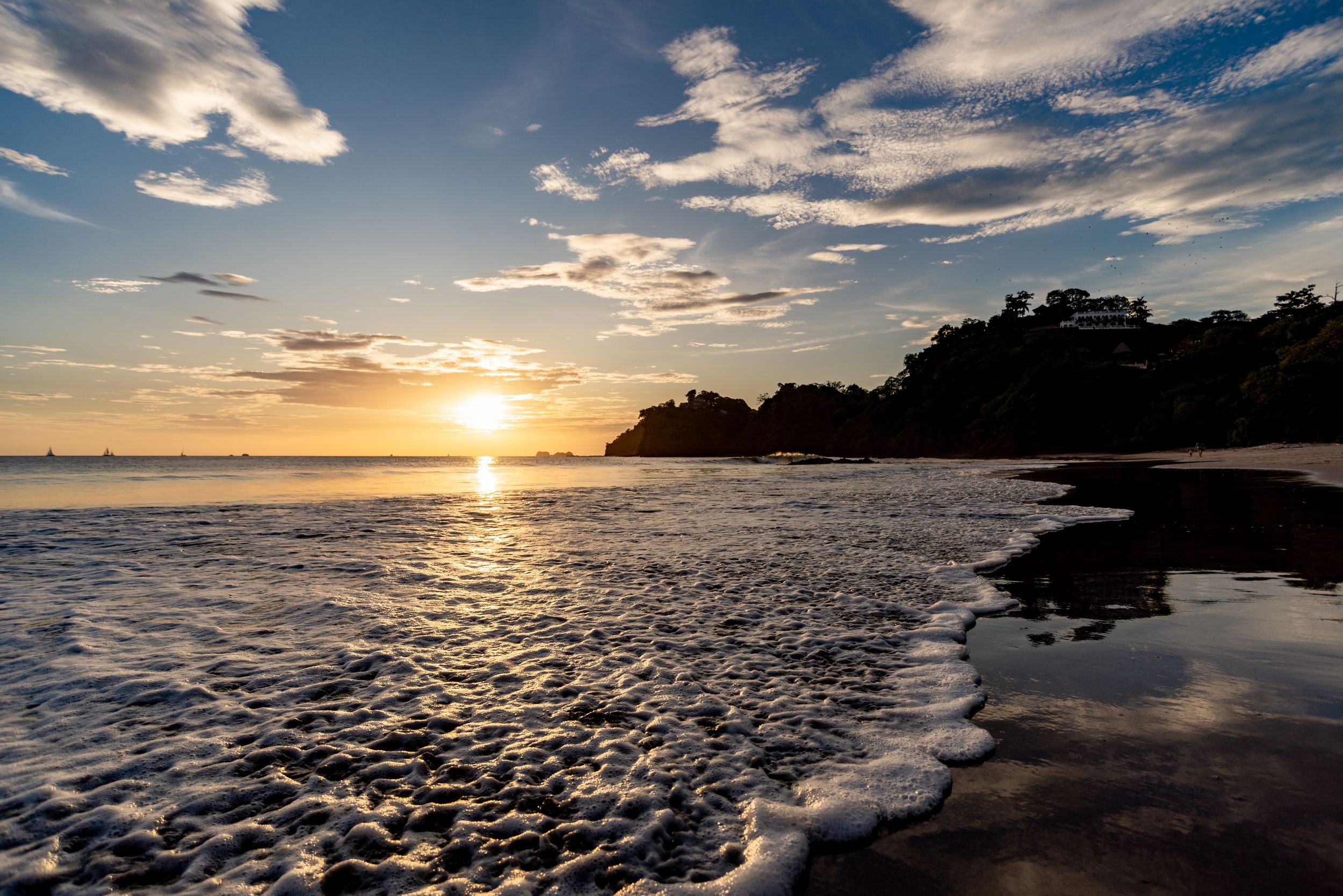 Flamingo Beach Landscape