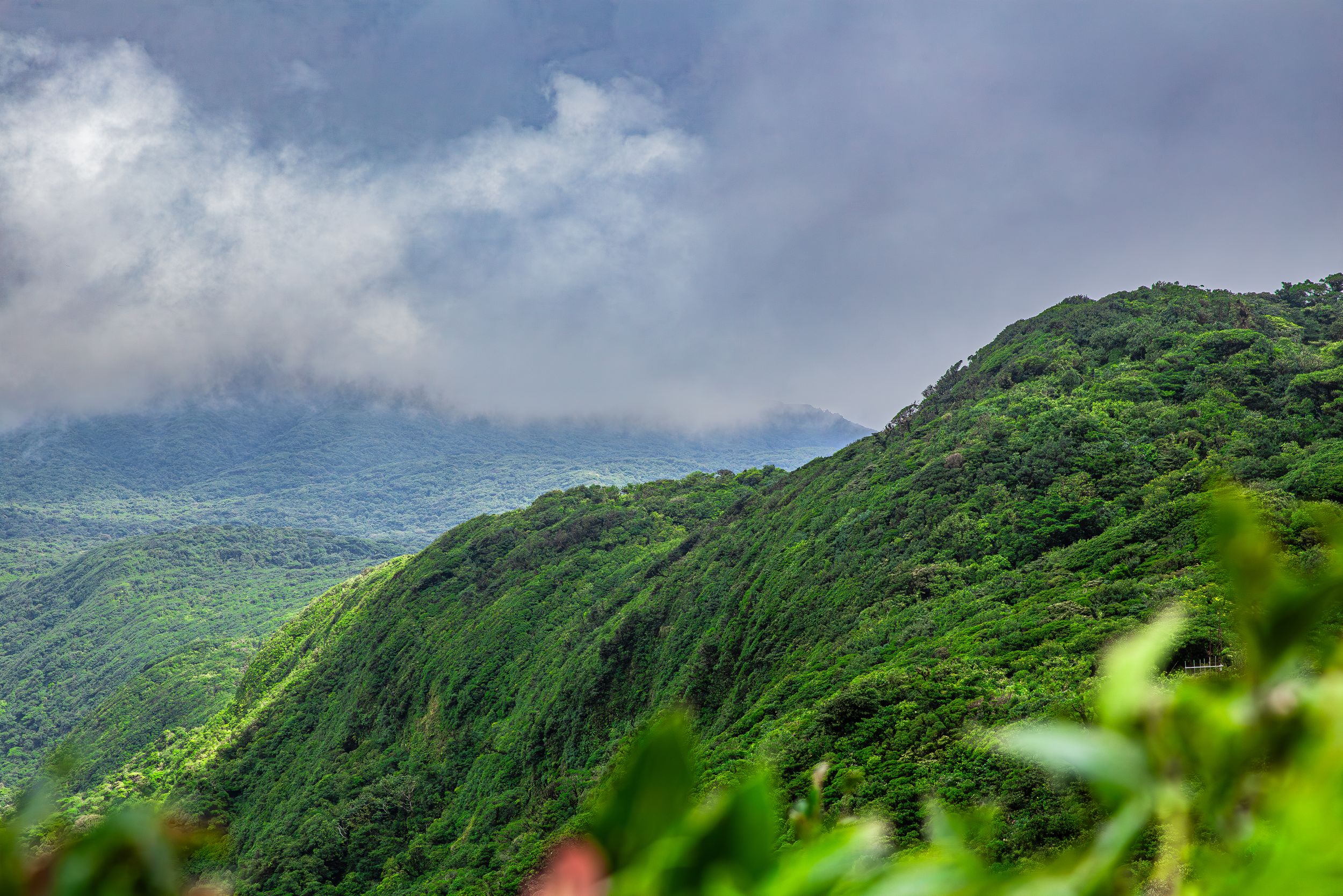 Continental watershed at Monteverde National Park