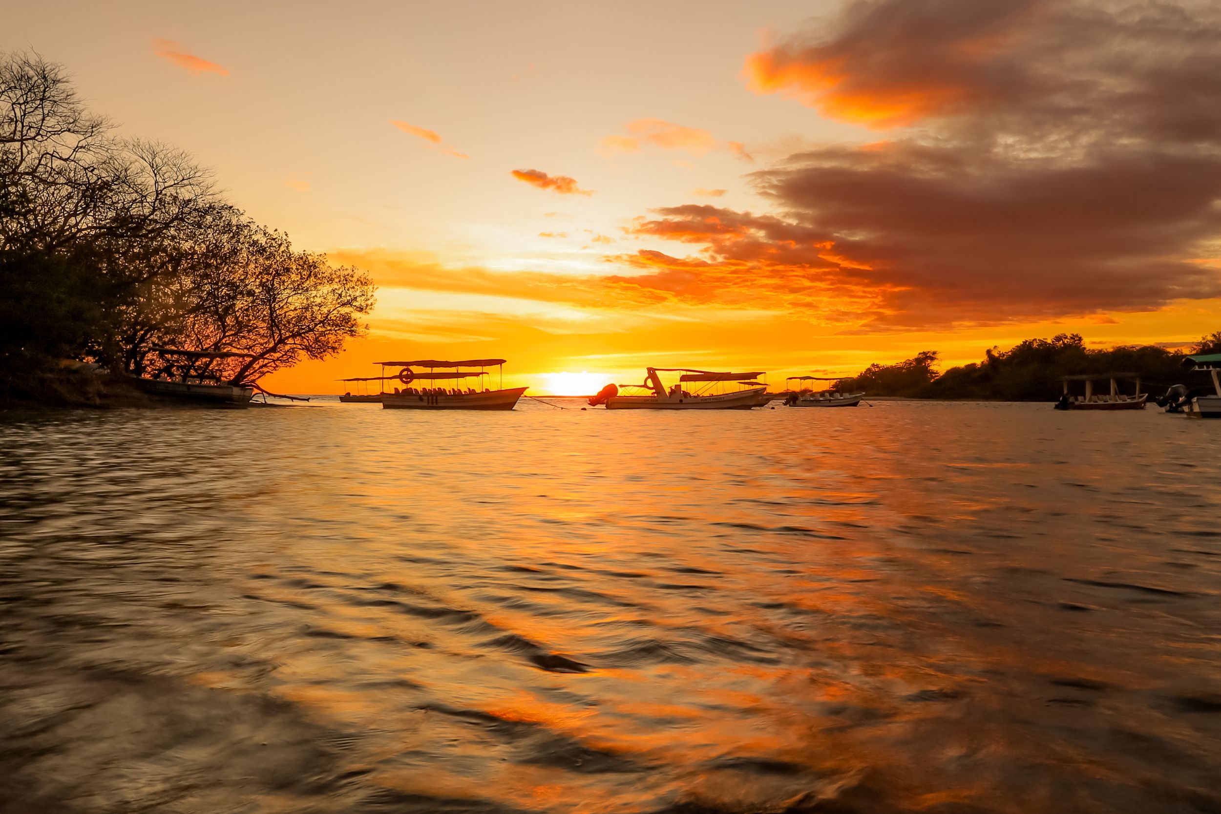Sunset in Tamarindo Mangroove