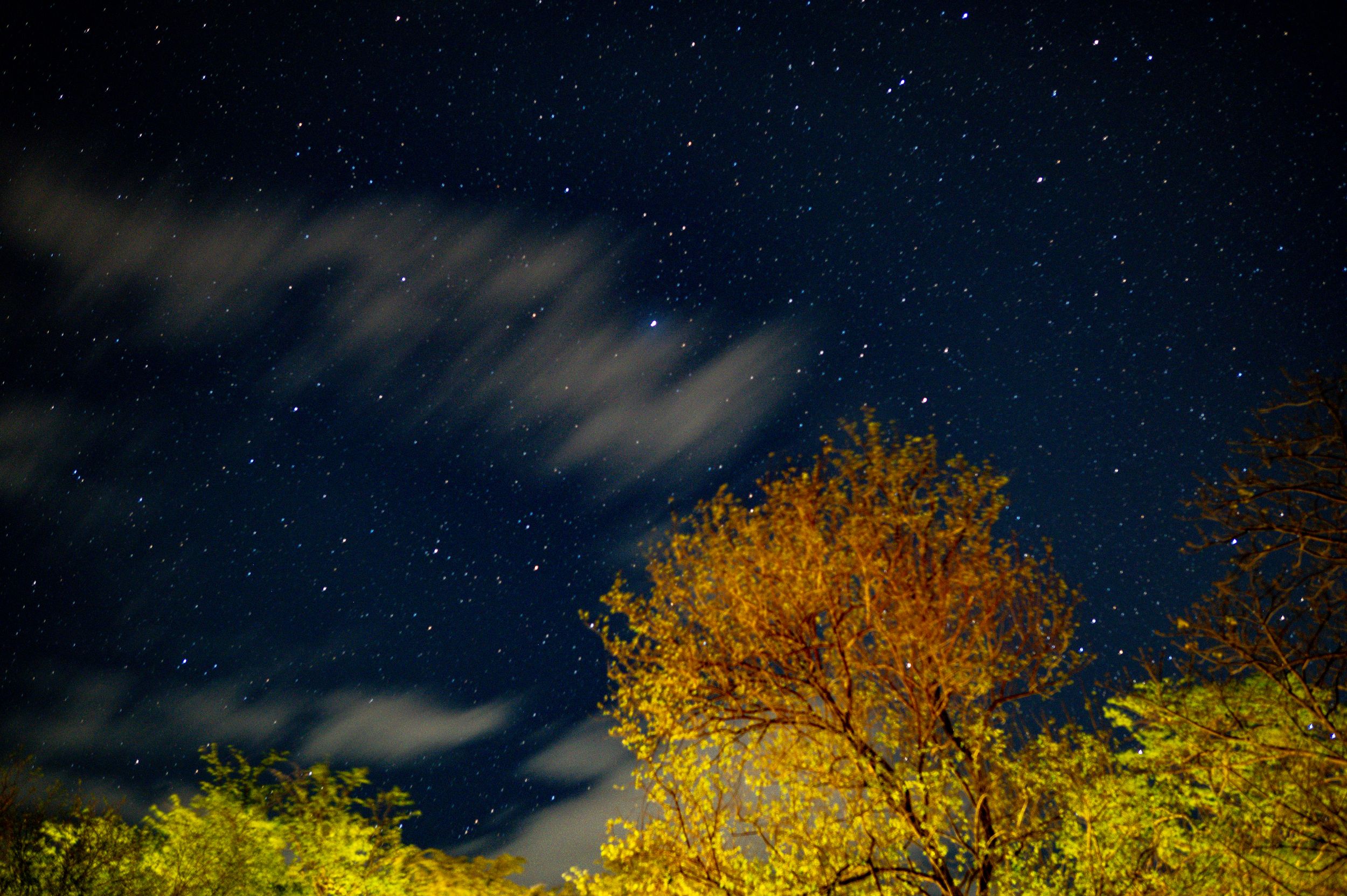 Night sky photo in Guanacaste