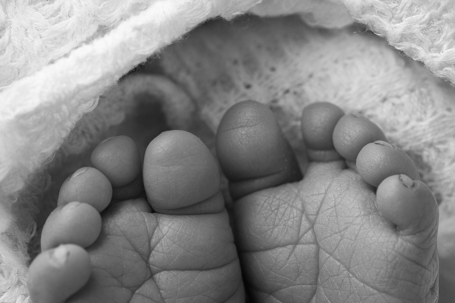 midland tx photogrpaher photographers midland tx newborn photographer midland tx twin newborn photographer midland tx baby toes detail shots