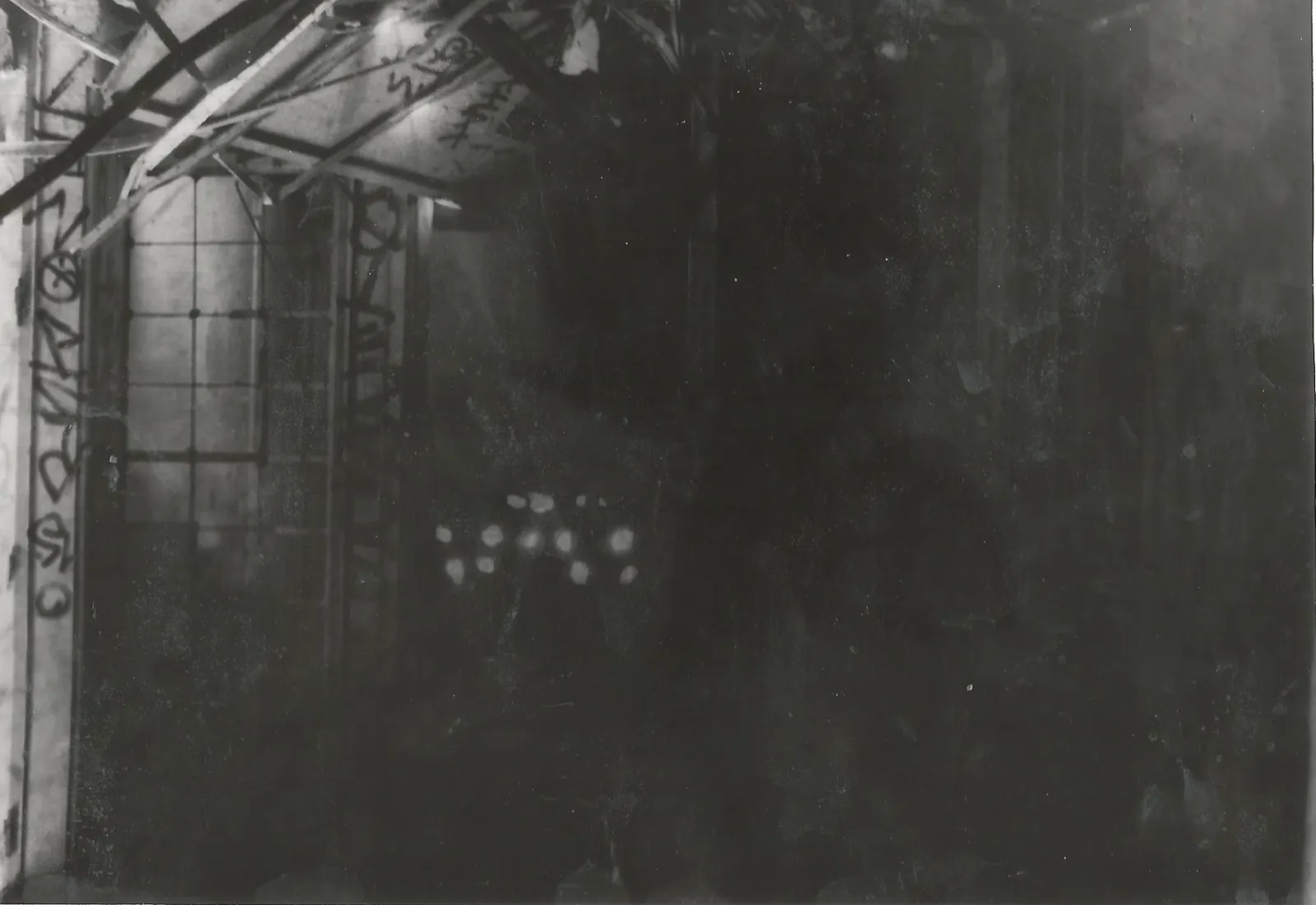 Photographie argentique d'un bâtiment et d'une forêt en superposition.