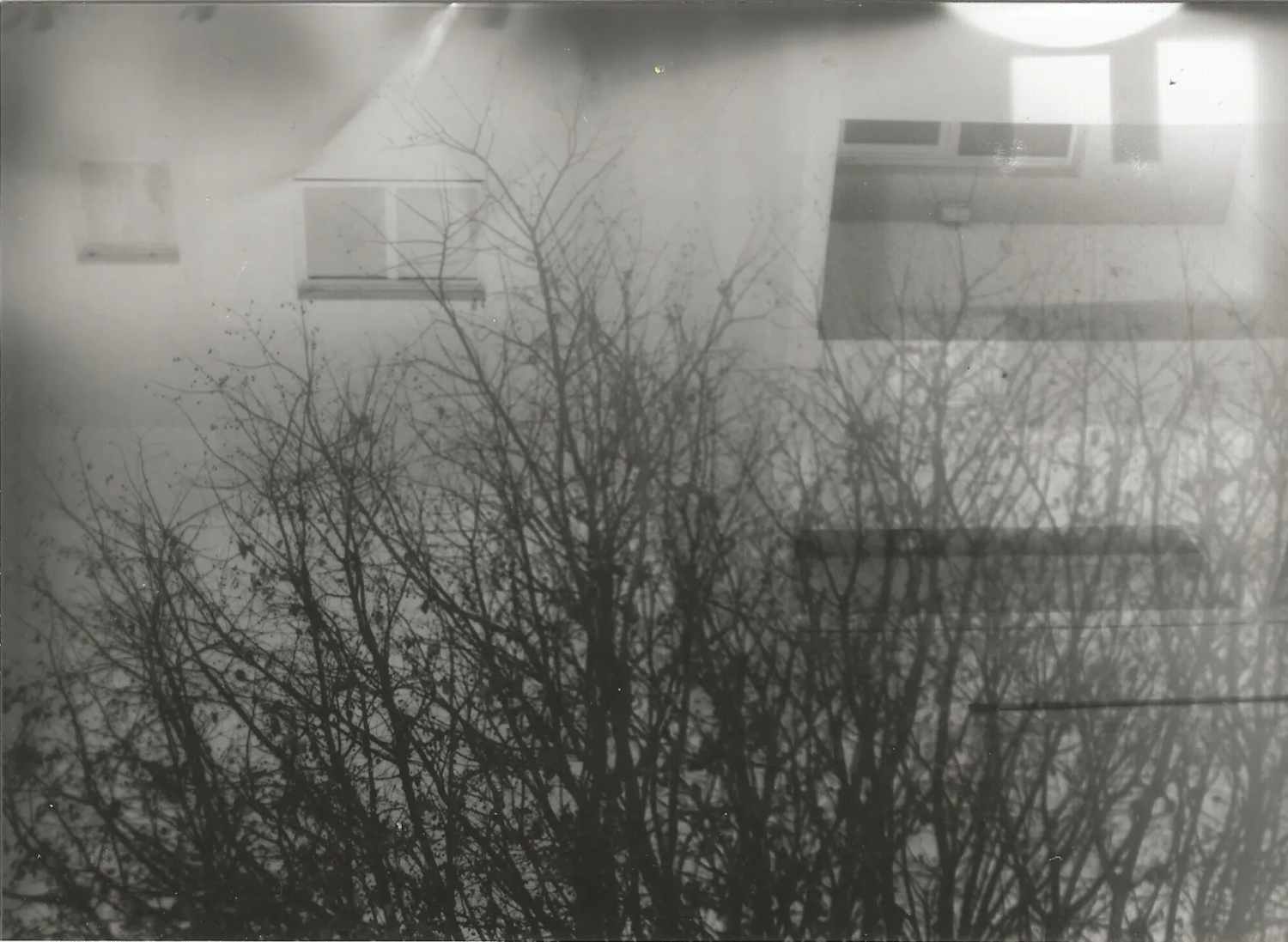 Photographie argentique d'un bâtiment et d'une forêt en superposition.
