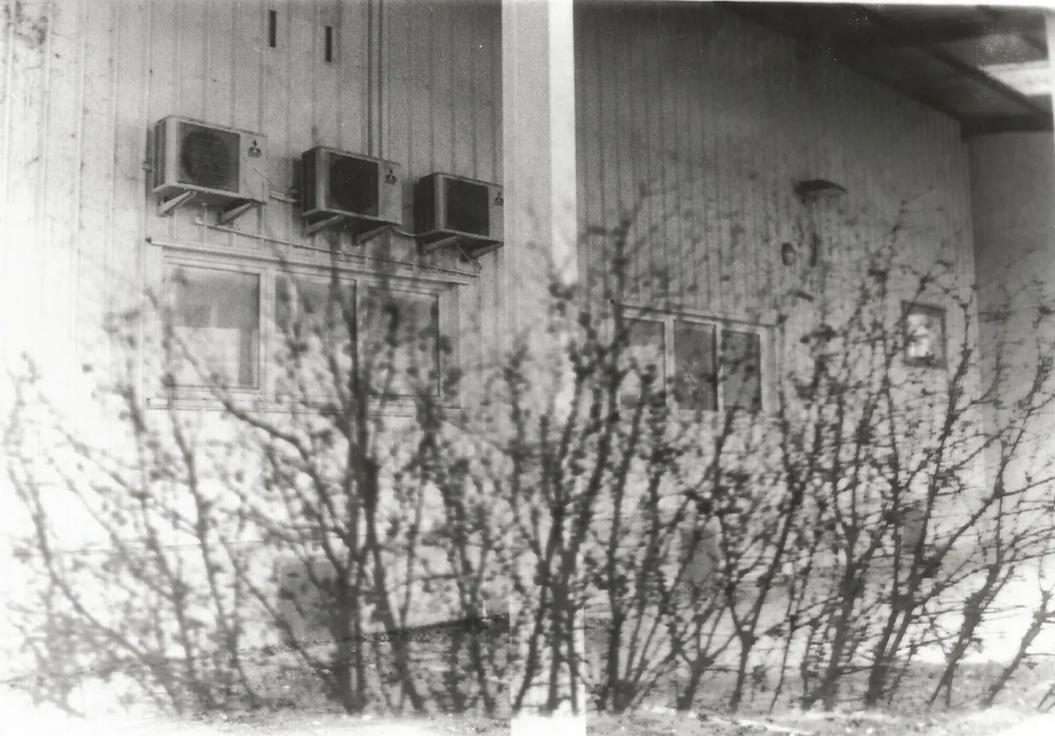 Photographie argentique d'un bâtiment et d'une forêt en superposition.