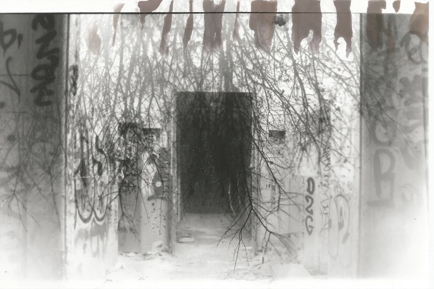 Photographie argentique d'un bâtiment et d'une forêt en superposition.