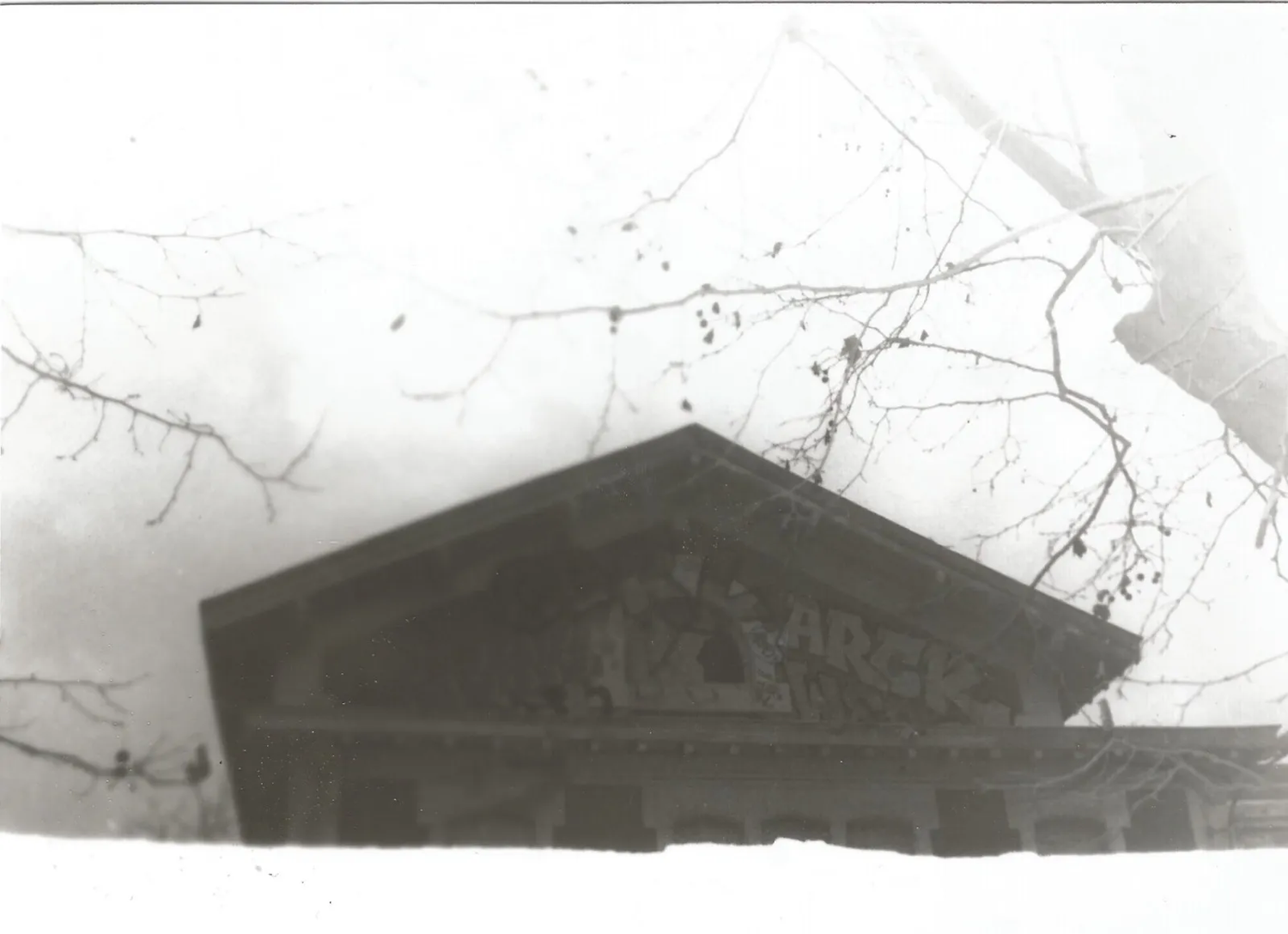 Photographie argentique d'un bâtiment et d'une forêt en superposition.