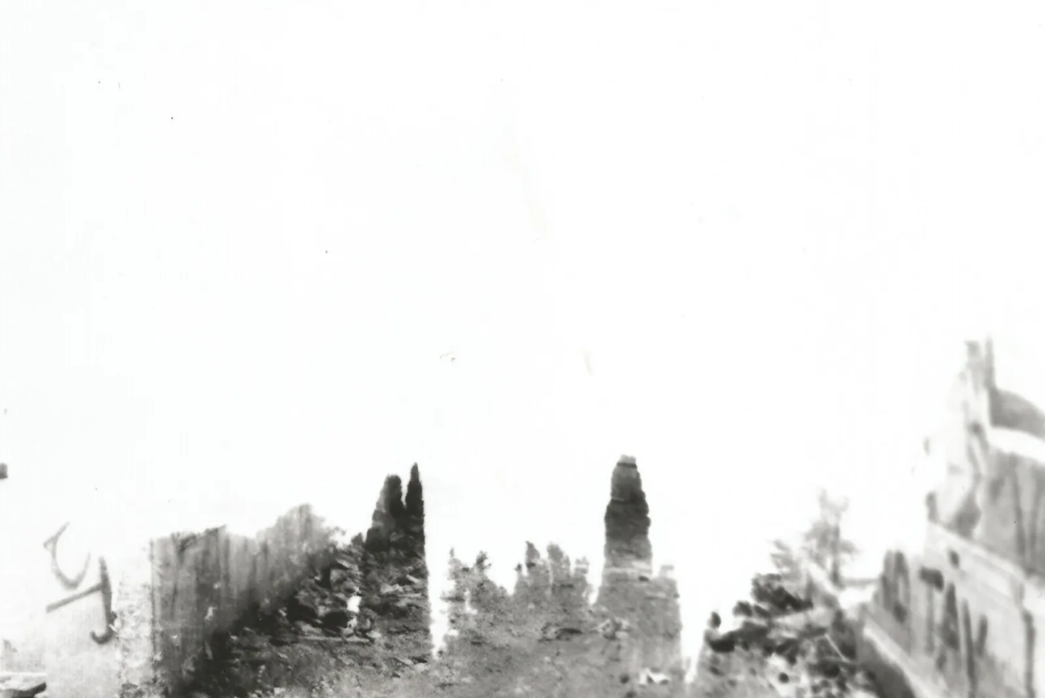 Photographie argentique d'un bâtiment et d'une forêt en superposition.