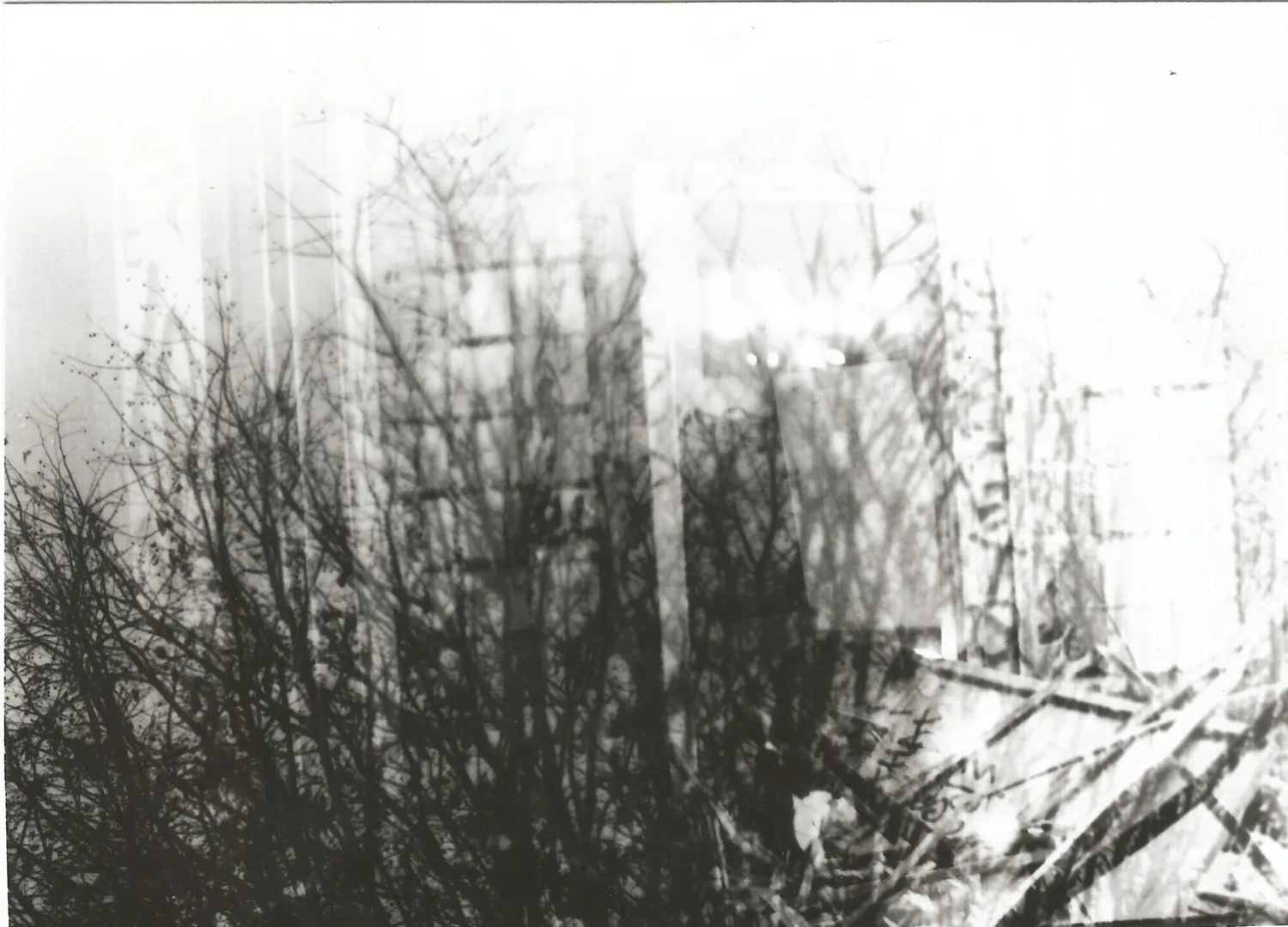 Photographie argentique d'un bâtiment et d'une forêt en superposition.