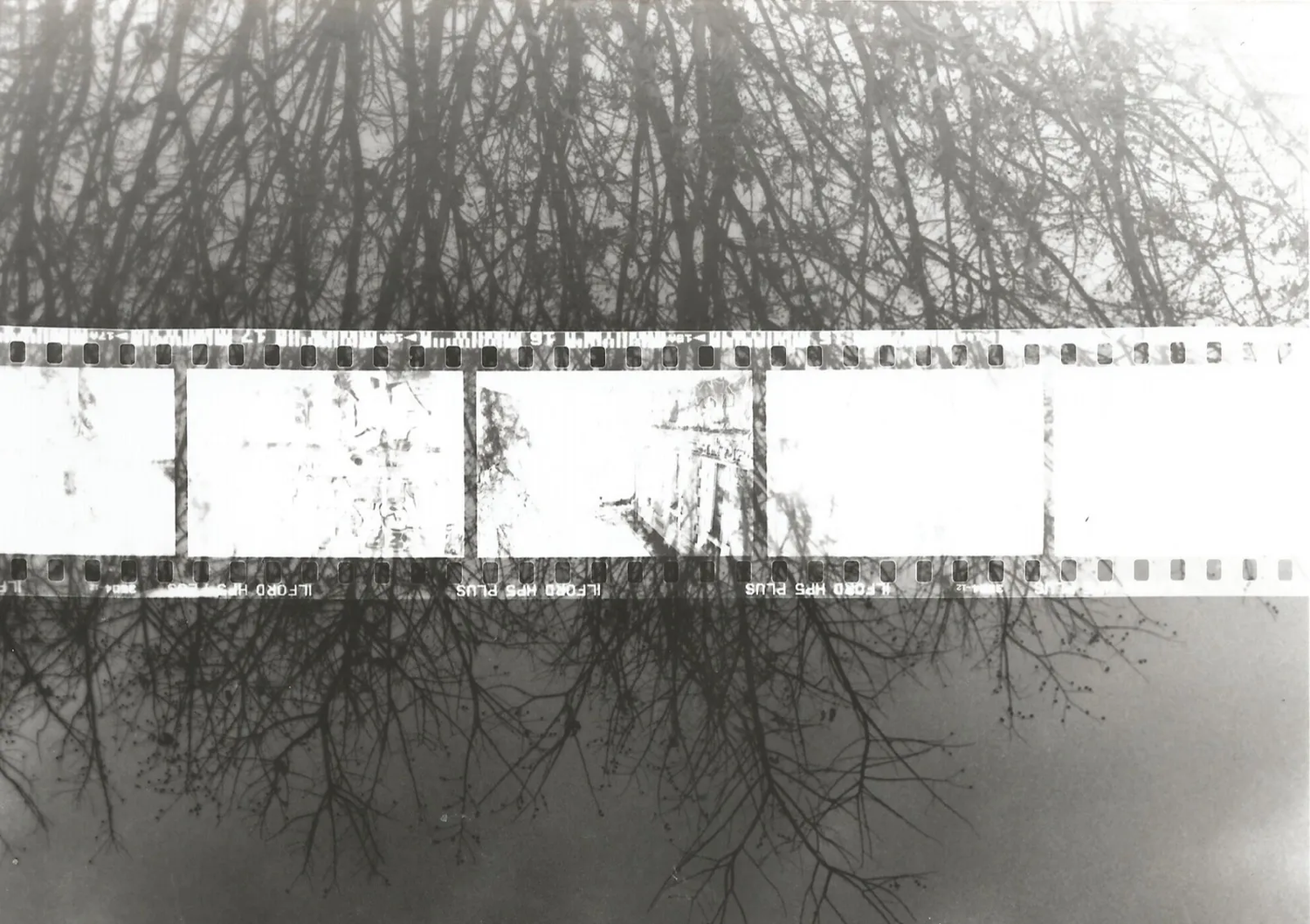 Reflet d’un grillage et d’arbres d’hiver sans feuilles dans une flaque ou un plan d’eau, renversant le paysage dans une composition abstrait