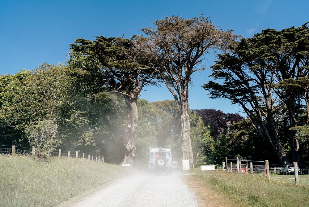 A scenic country road lined with trees and fences on a sunny day with light filtering through the branches.
