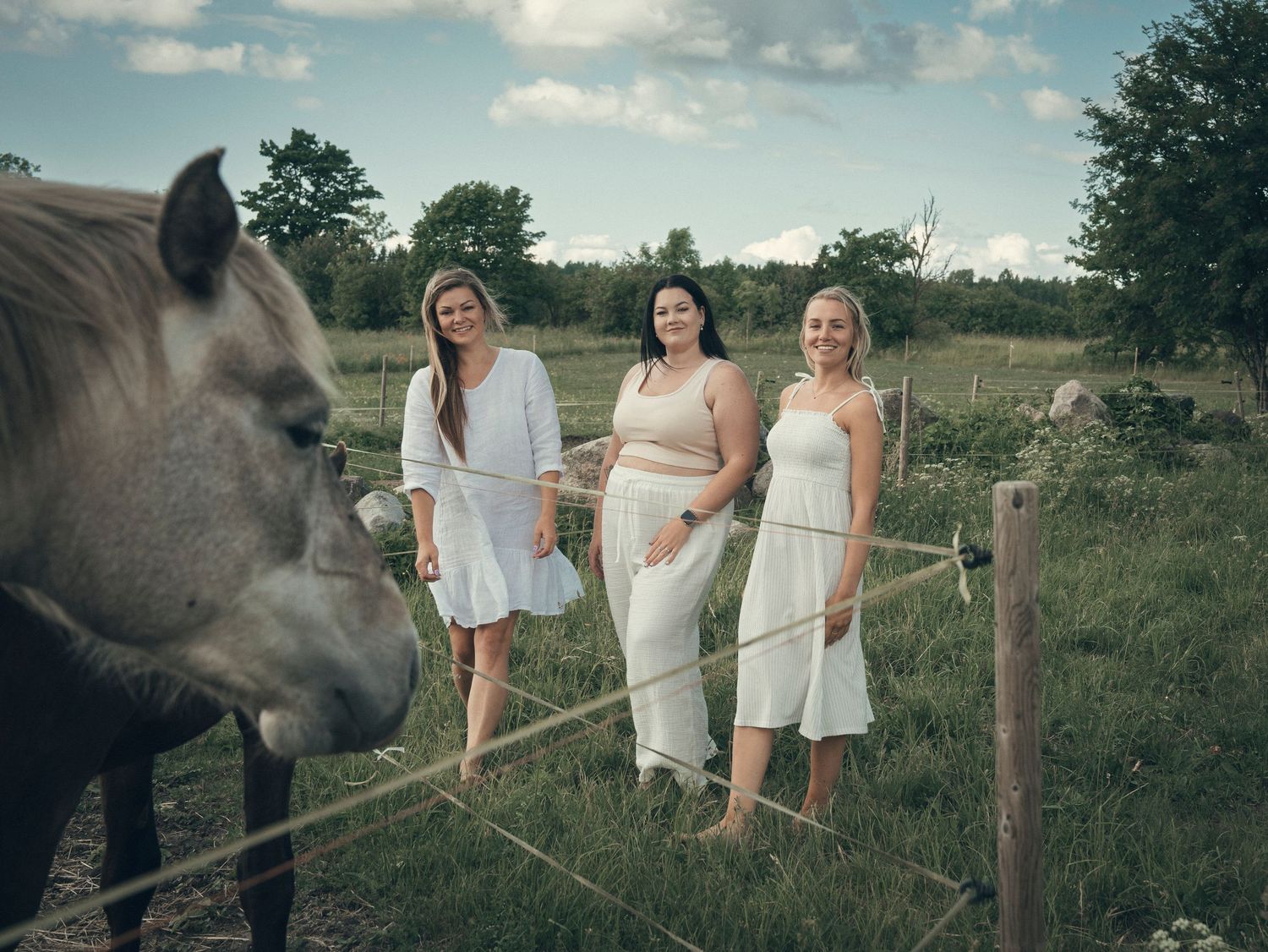 Saaremaa summer