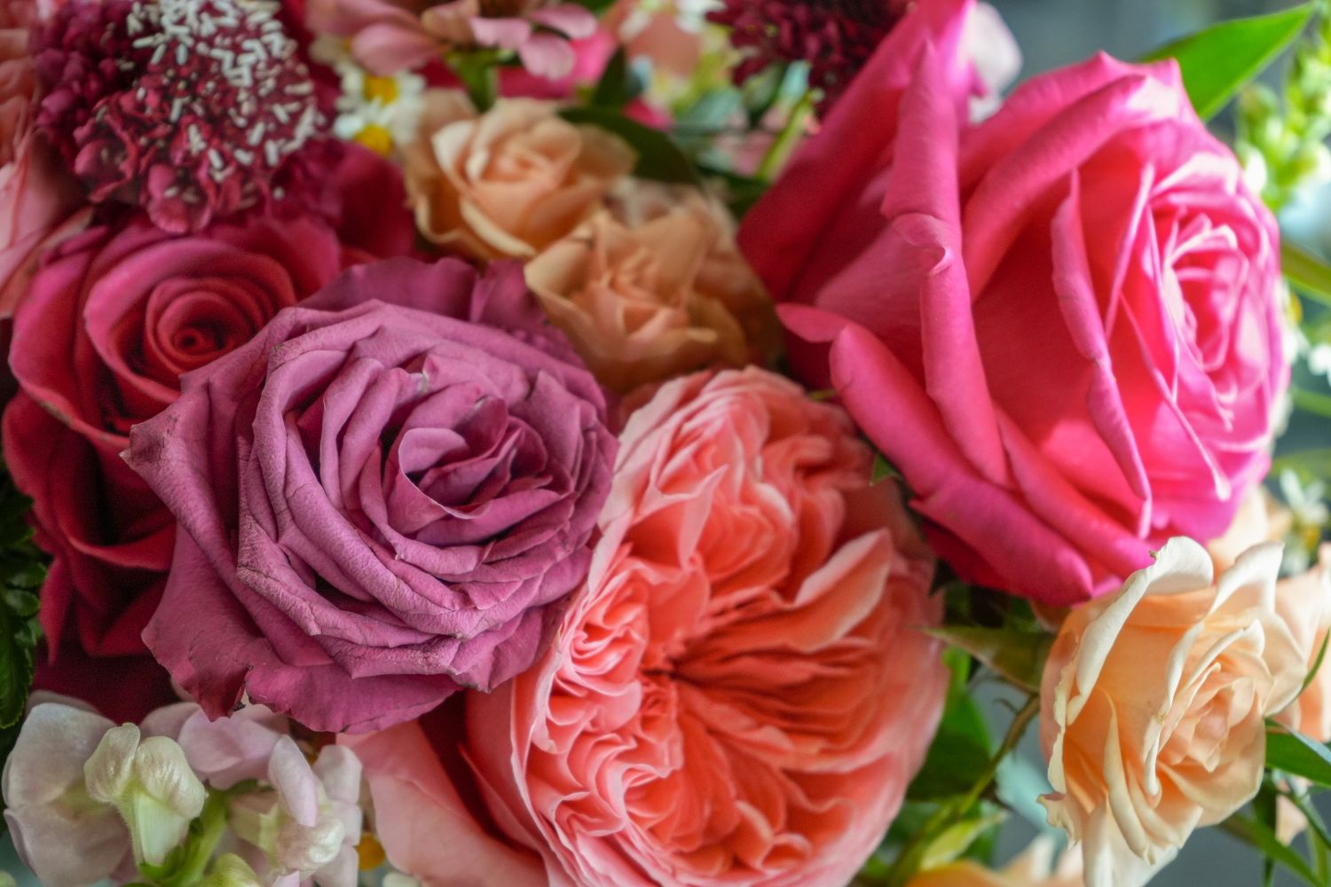 Close-up of vibrant pink, coral, and peach roses bouquet arrangement in full bloom.