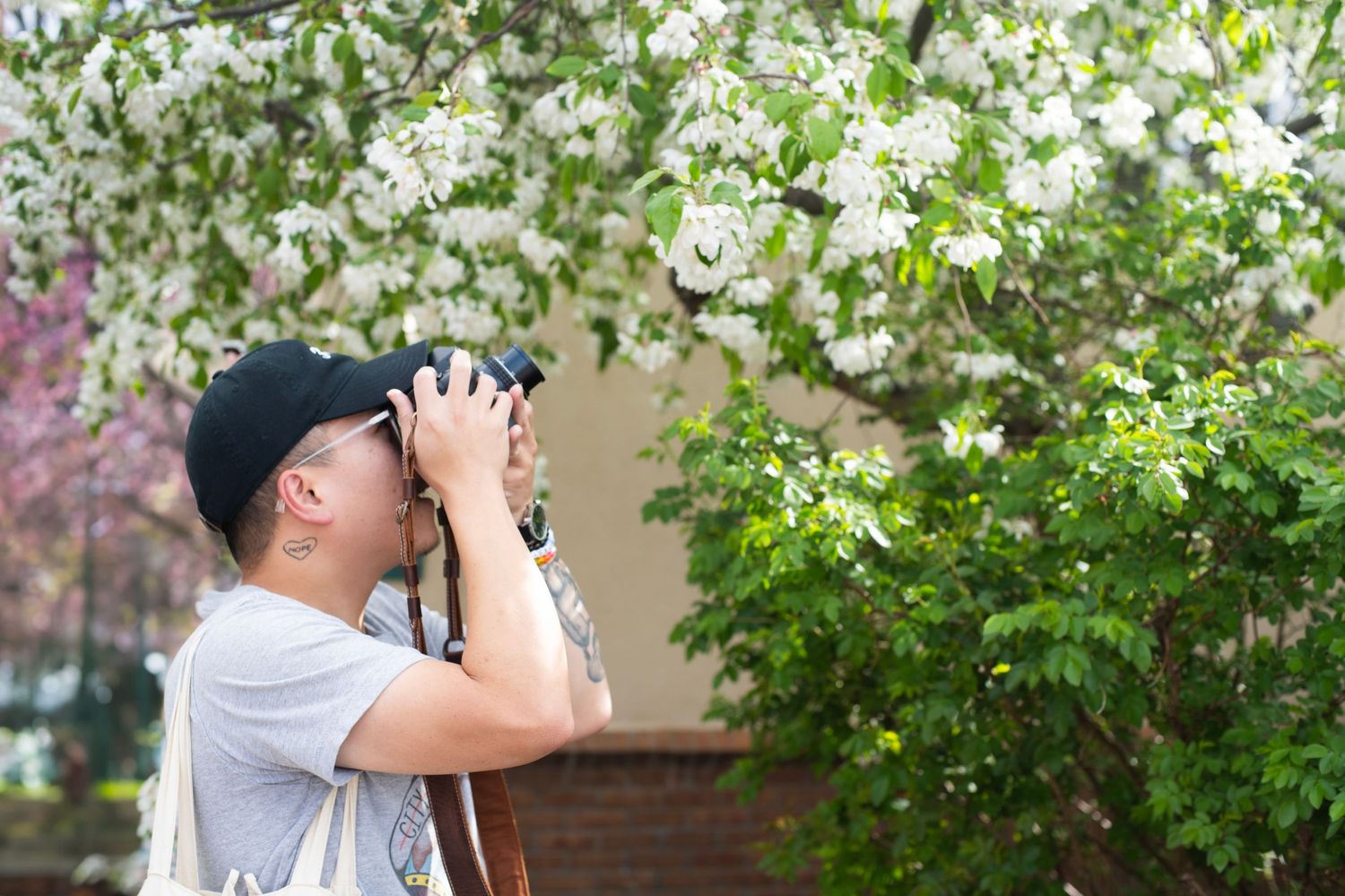 Person photographing white blossoming tree in spring garden with camera.