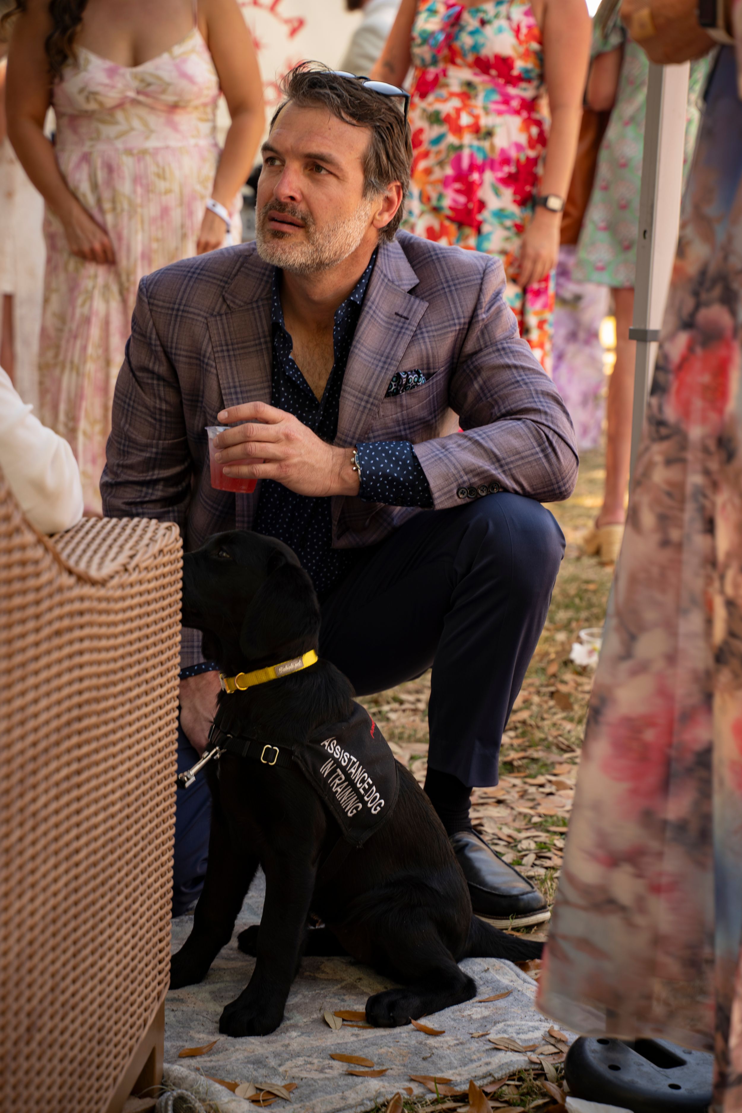 Man in plaid blazer crouches beside a black Labrador service dog at an outdoor social event.