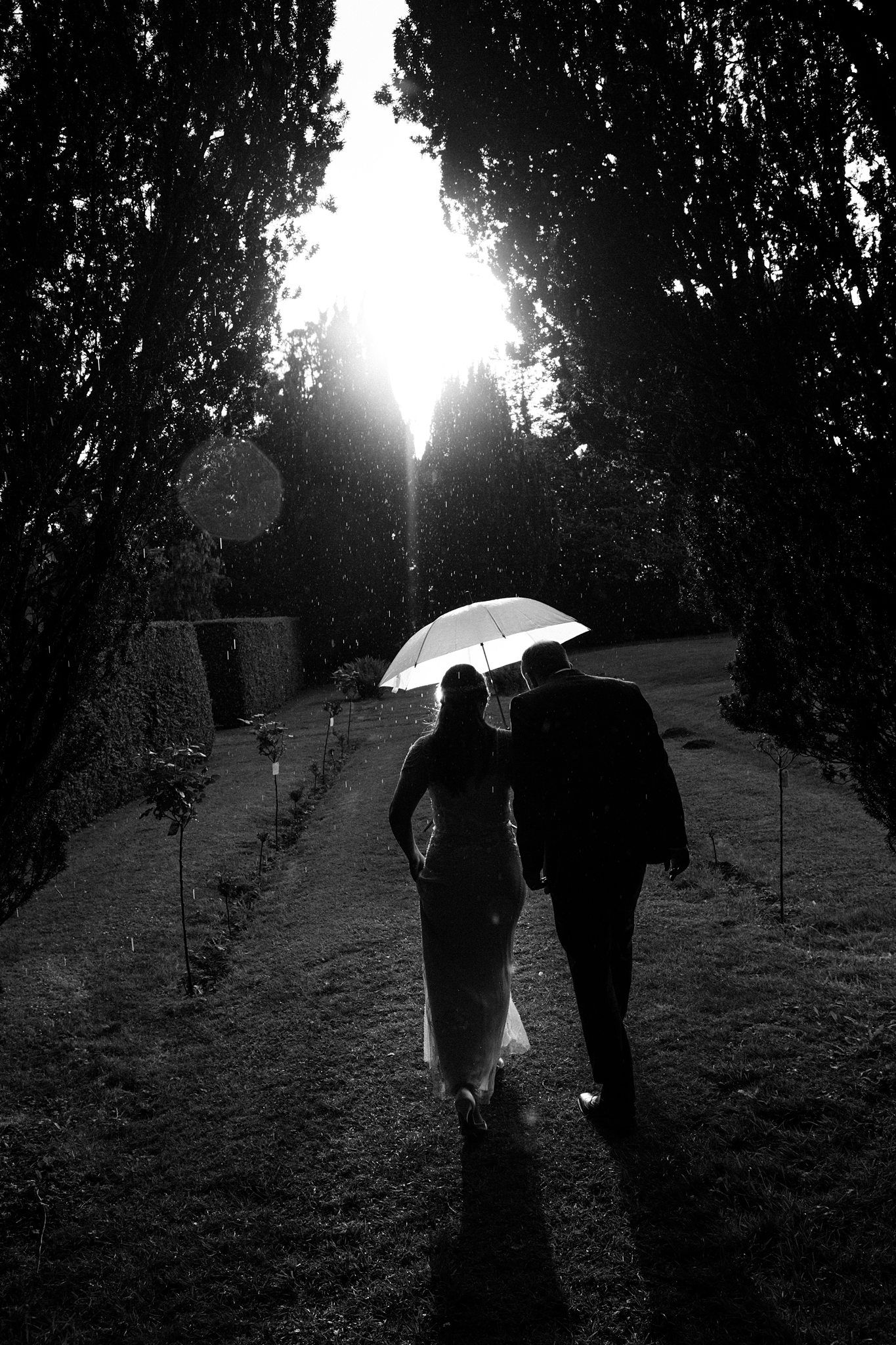 Black and white photo of a bride and groom walking under an umbrella through a tree-lined path toward a bright light.
