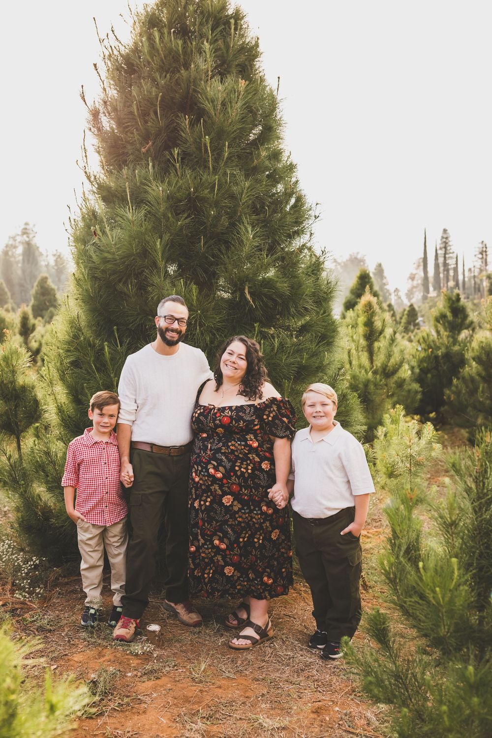 Family of four smiling together at a Christmas tree farm in redlands ca surrounded by lush green pine trees.
