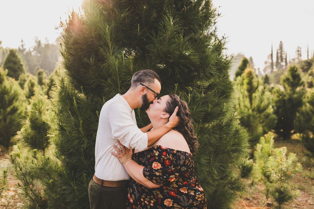 Couple sharing a romantic kiss surrounded by lush Christmas trees in golden sunlight.